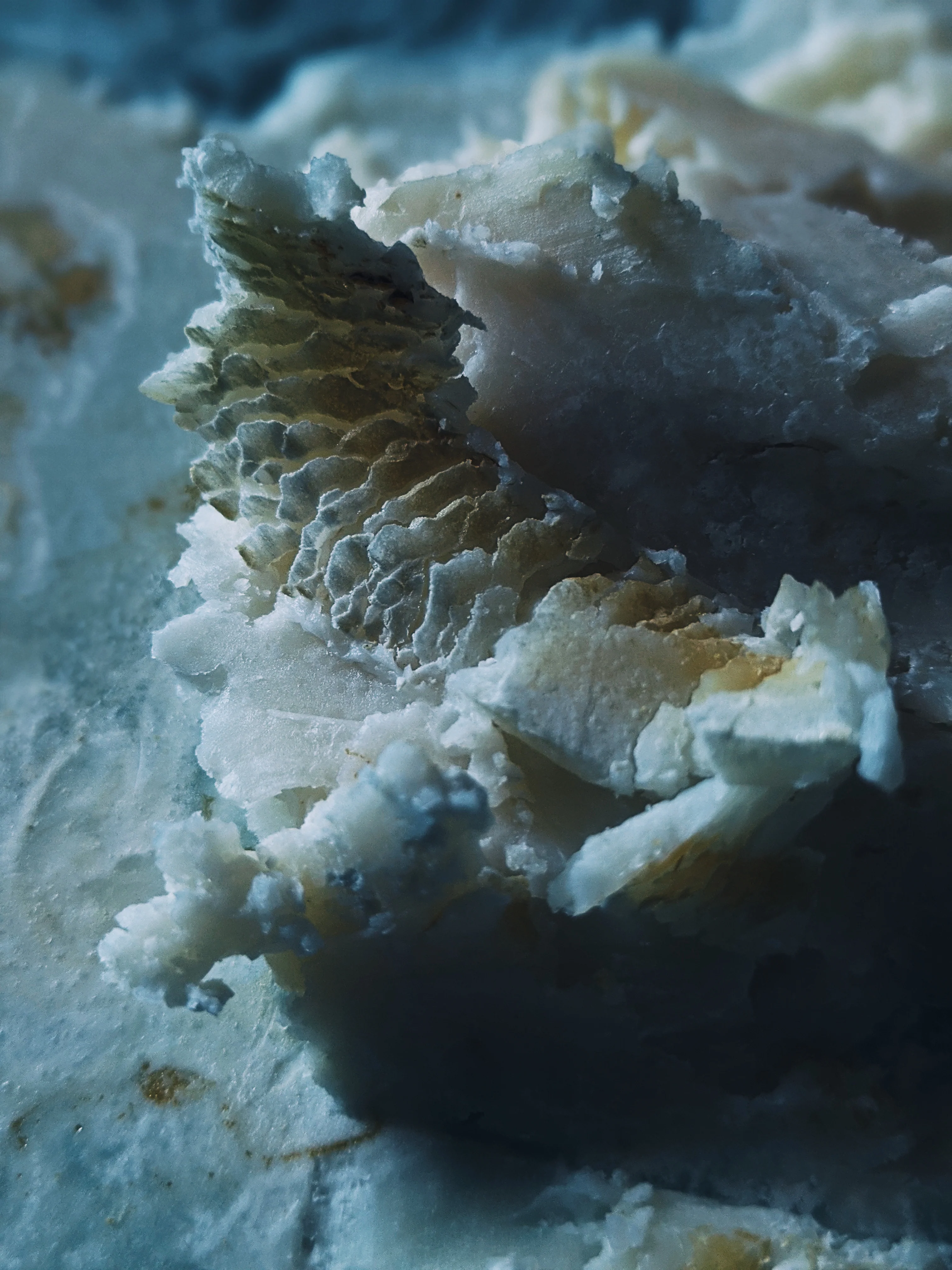 Animalic. Natural perfume fixative by Wild Veil. - Image 4