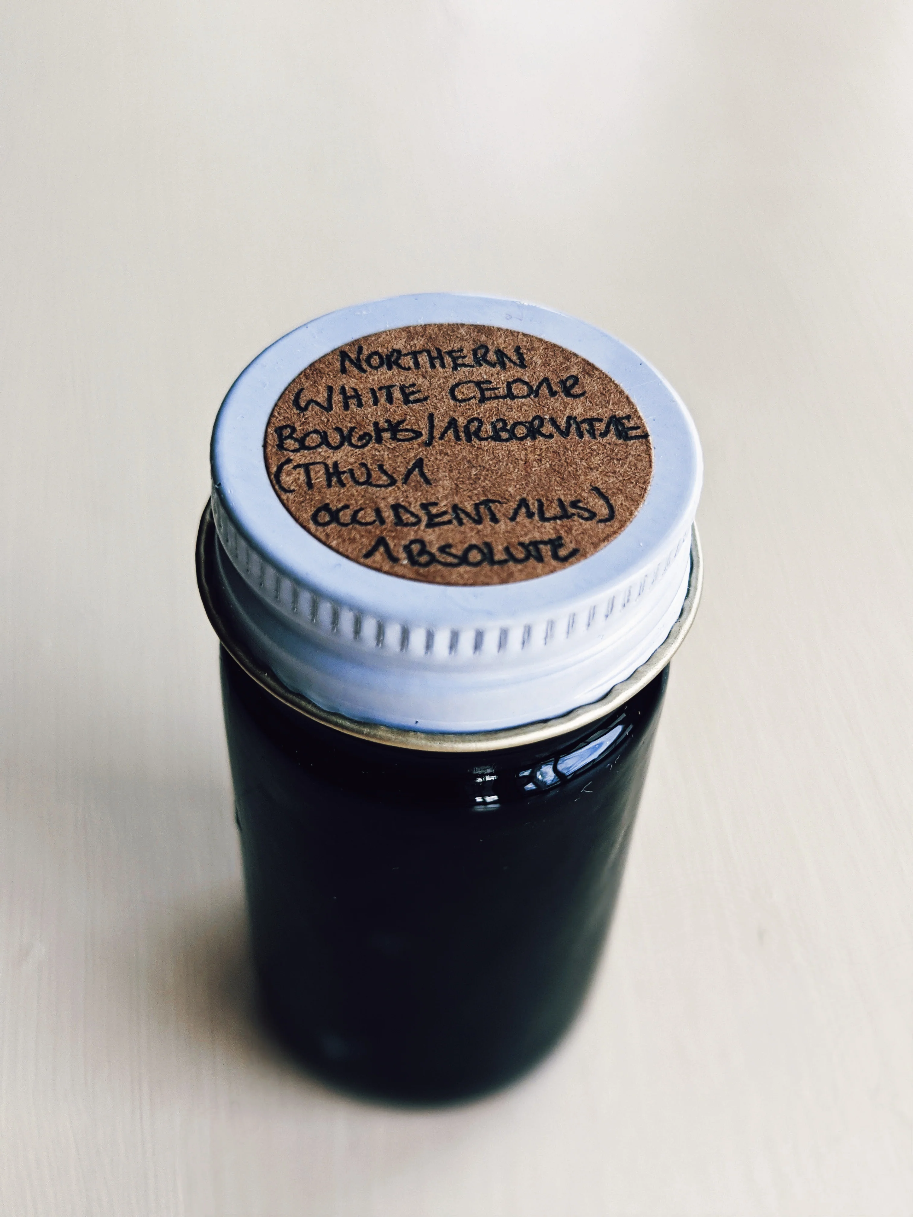 Arborvitae (Northern White Cedar) Absolute - Image 4