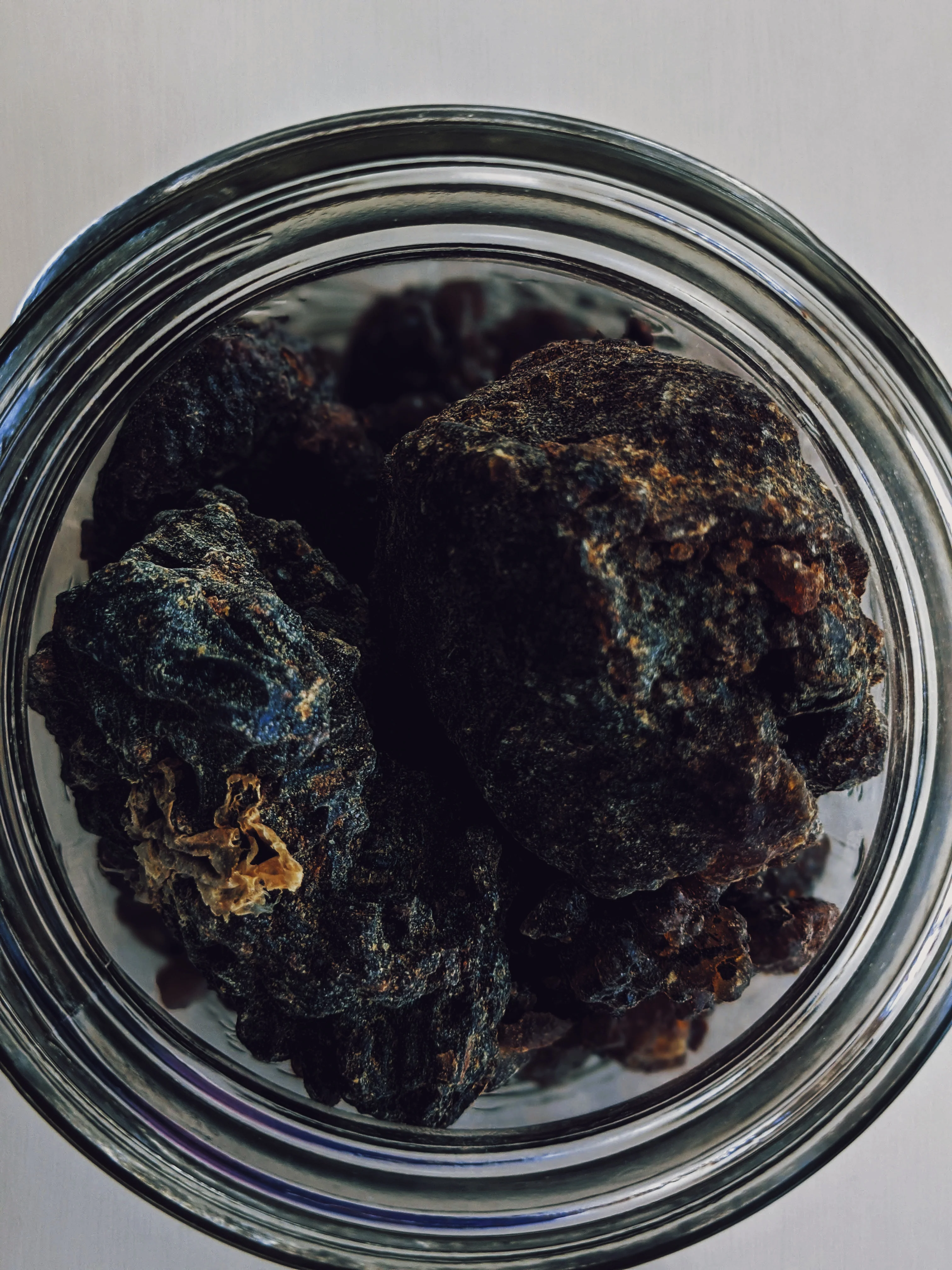 Black Cat. natural forest perfume. smoke, wild clove, lavender, frangipani, herbs, moss. February 2024 - Image 5