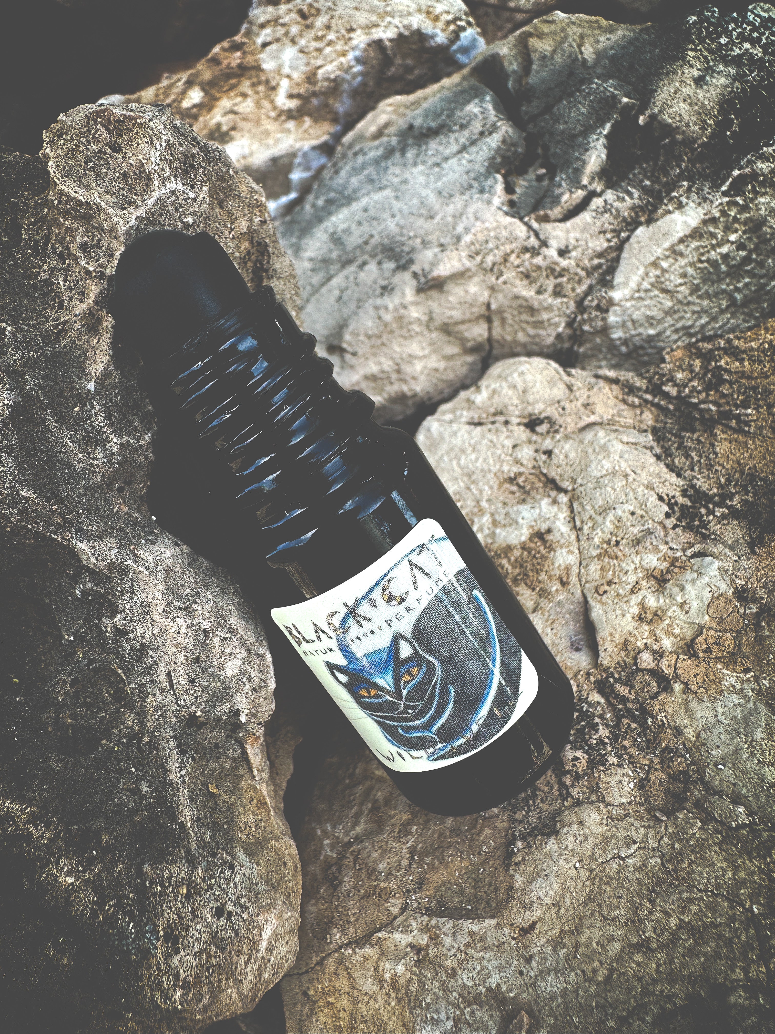 Black Cat. natural forest perfume. smoke, wild clove, lavender, frangipani, herbs, moss. February 2024 - Image 7