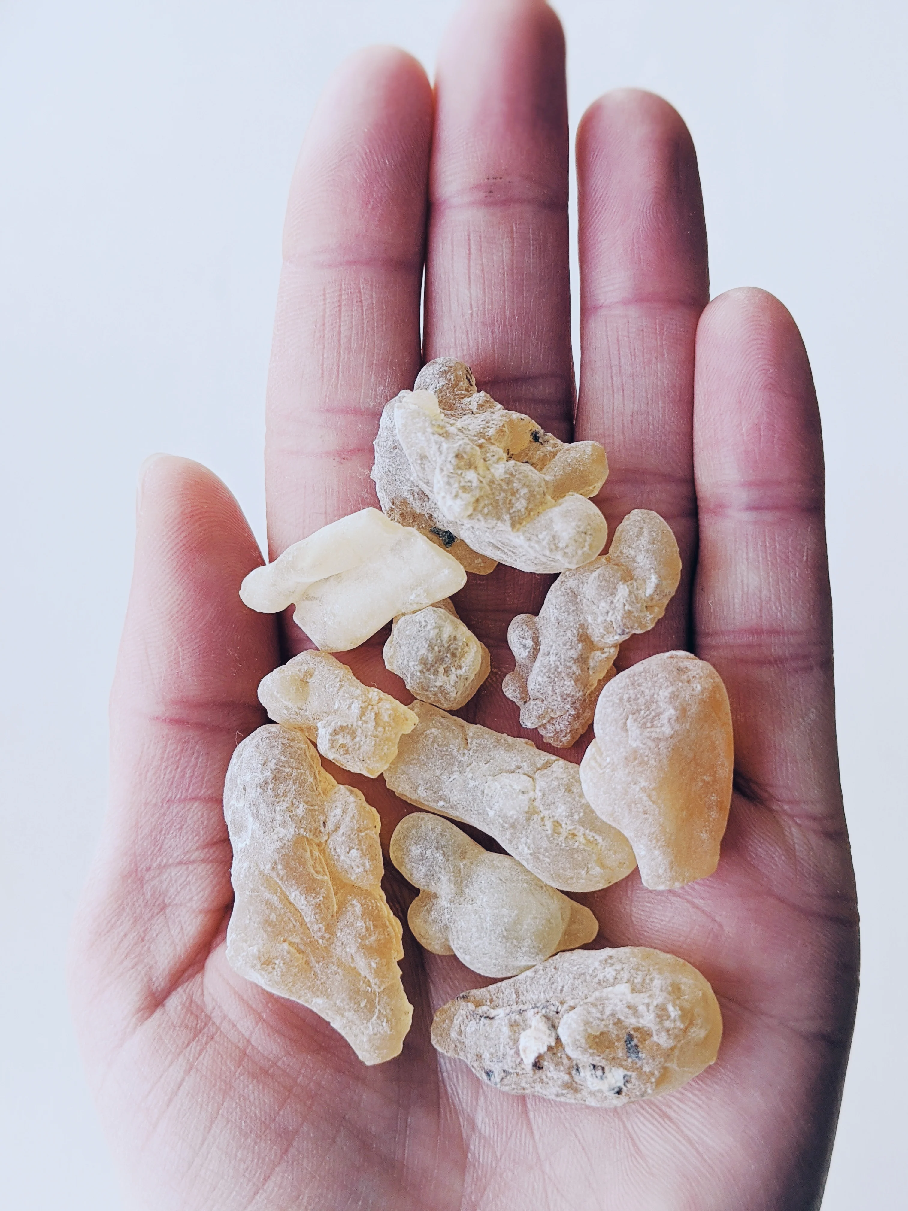 Blonde. natural perfume. suave lime-tabac. jasmine, frankincense, ambrette, sweet myrrh. August 2023 - Image 4