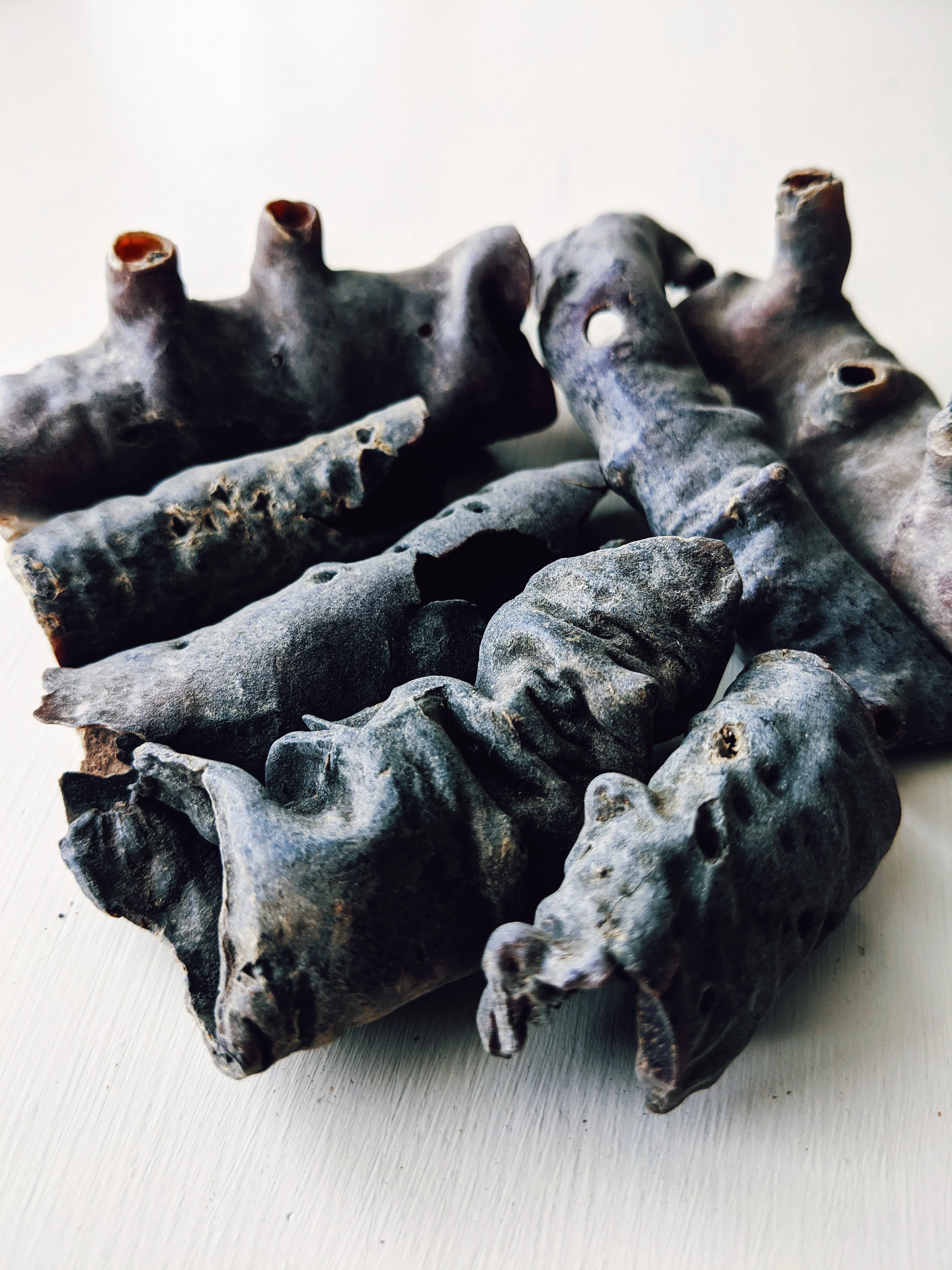 Gardenia and Bushman Candle Enfleurage. - Image 5