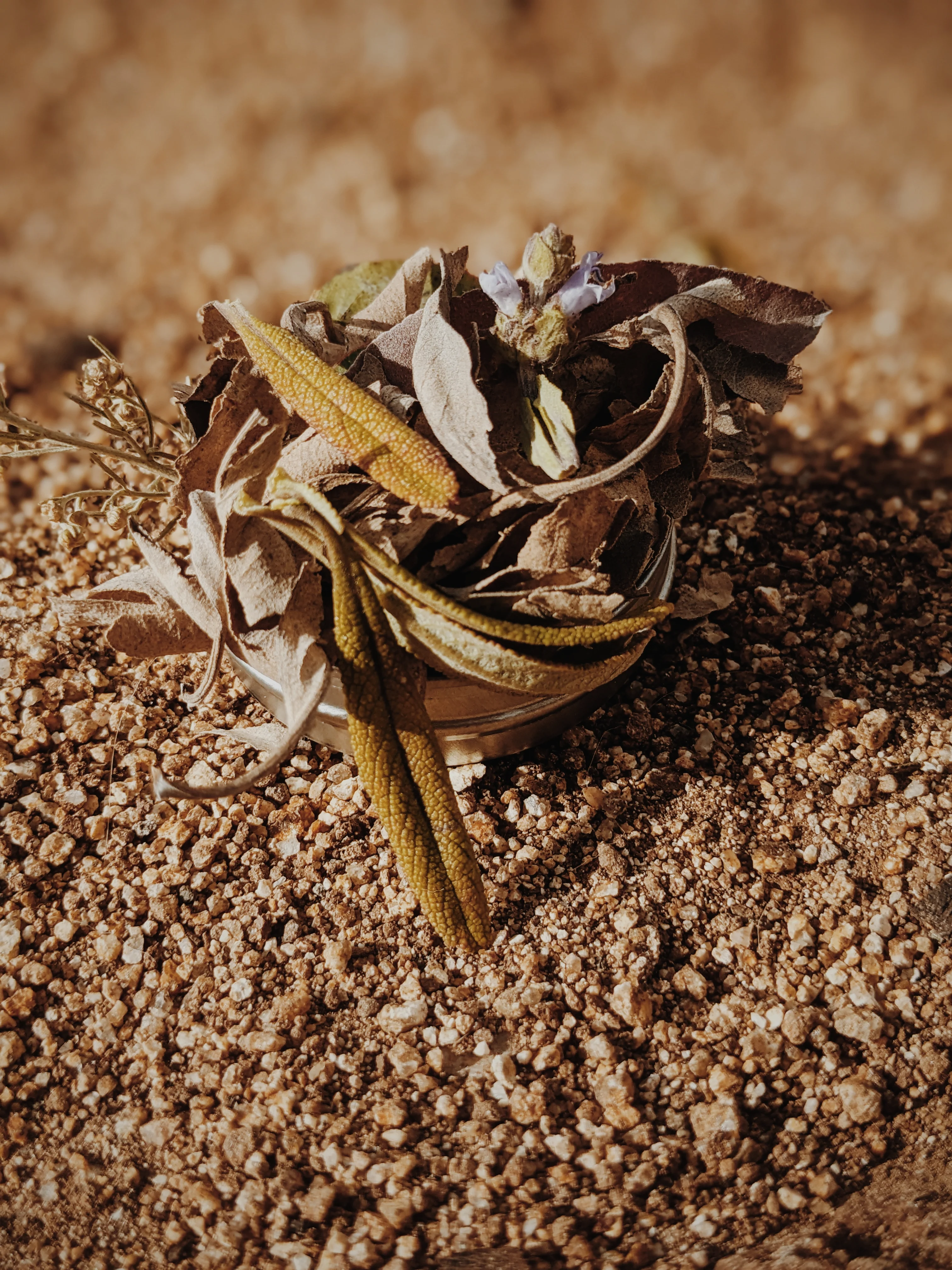 Limited Edition Crystal Chaparral Incense. Southern California Chaparral-Coastal Oak Woodlands Incense. Incense blend of wild De Luz botanicals. - Image 12