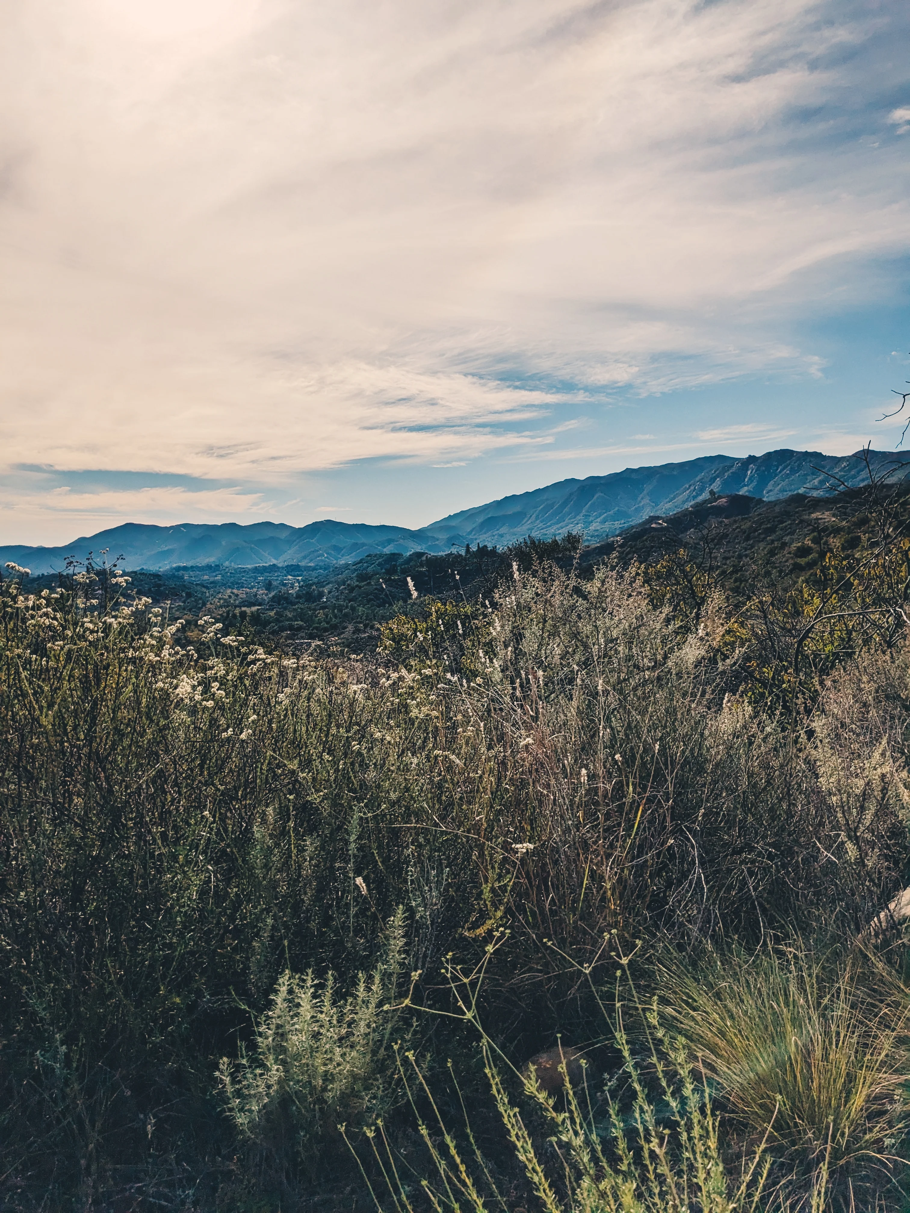 Limited Edition Crystal Chaparral Incense. Southern California Chaparral-Coastal Oak Woodlands Incense. Incense blend of wild De Luz botanicals. - Image 15