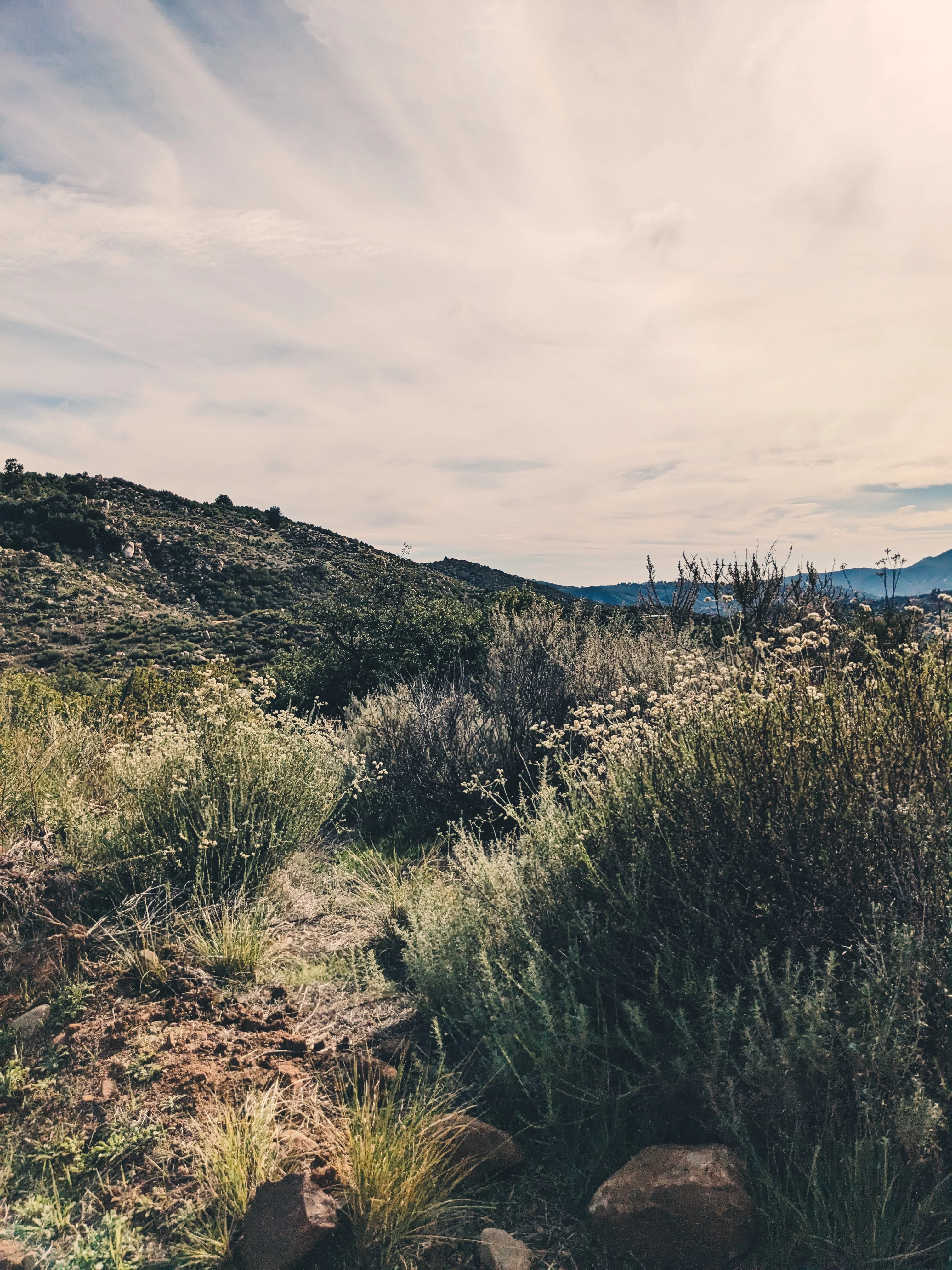 Limited Edition Crystal Chaparral Incense. Southern California Chaparral-Coastal Oak Woodlands Incense. Incense blend of wild De Luz botanicals. - Image 8