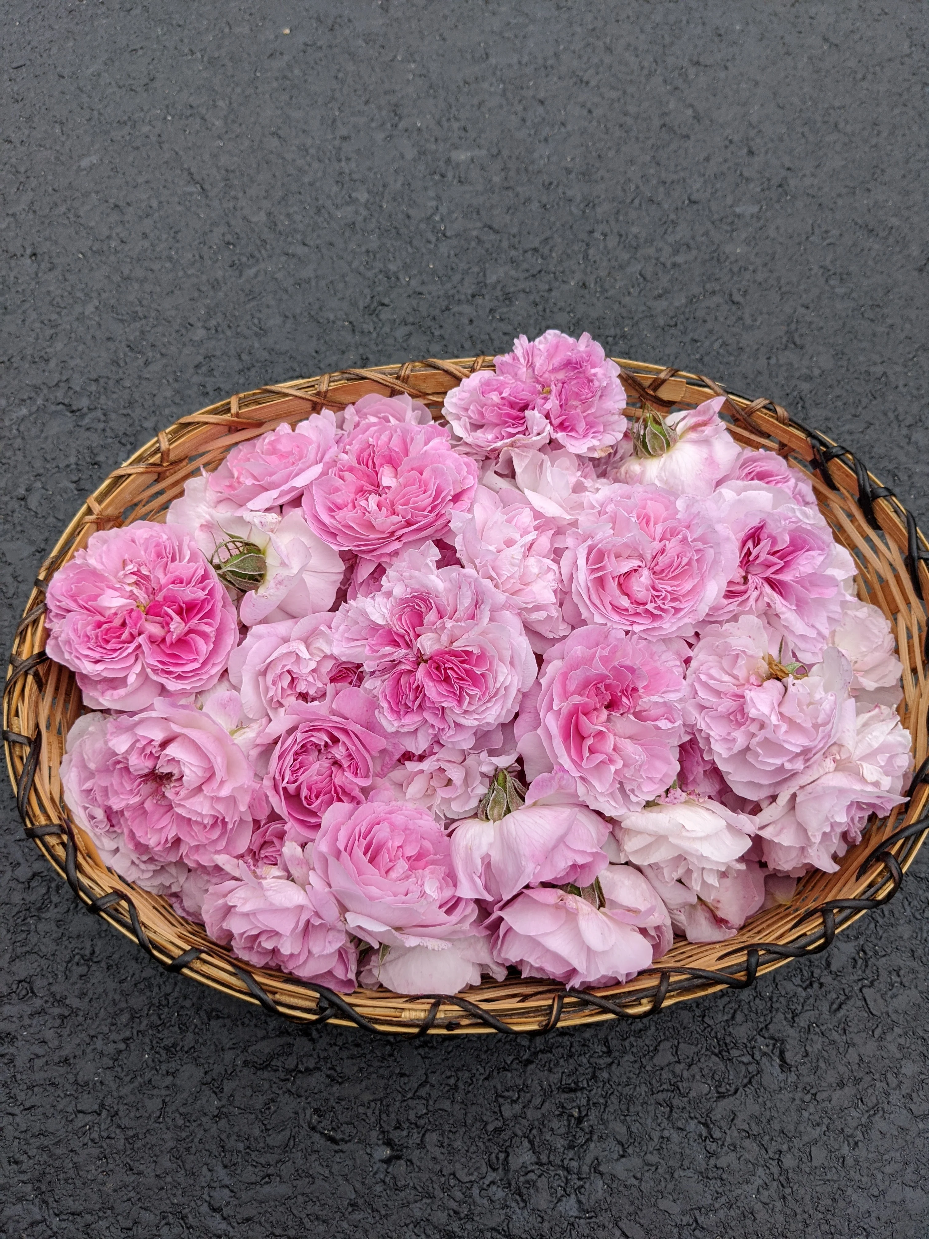 Damask Rose Enfleurage. - Image 20