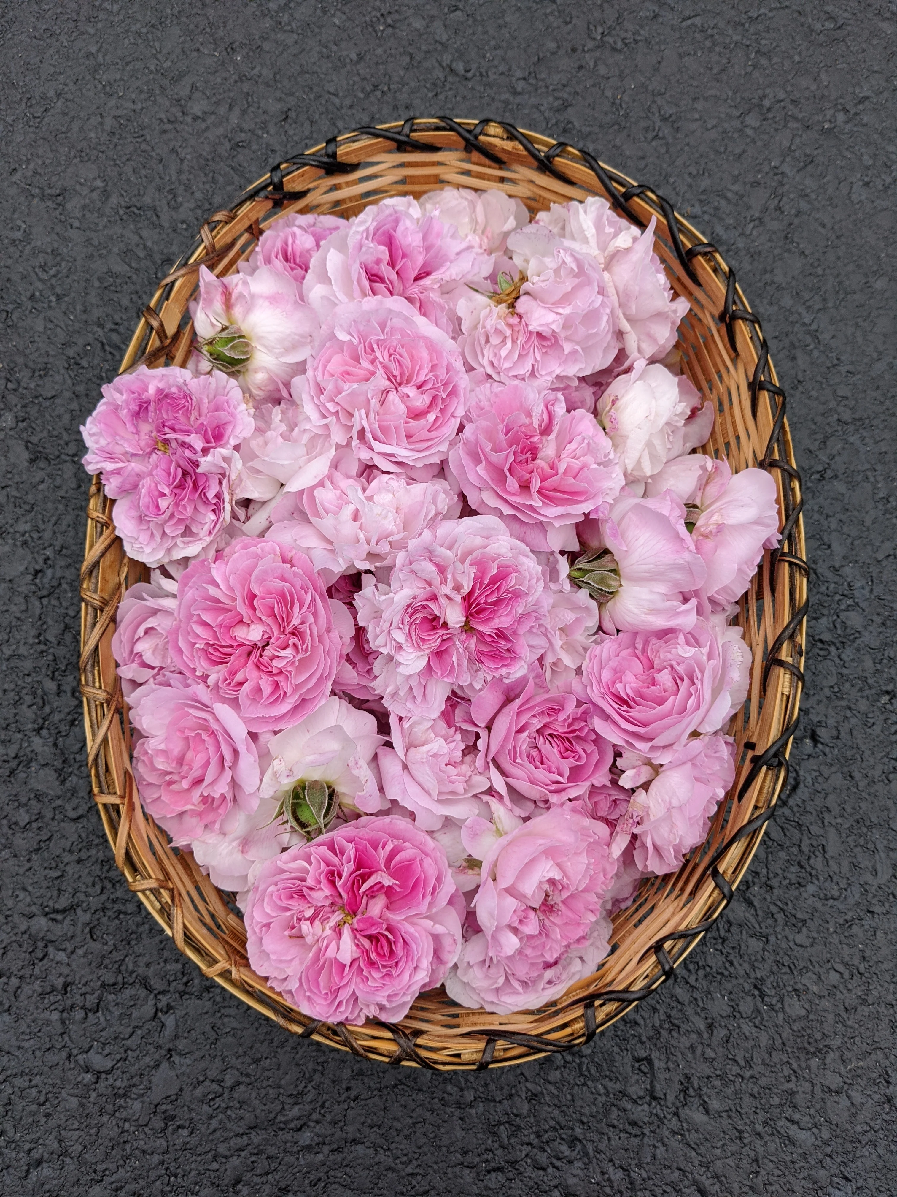 Damask Rose Enfleurage. - Image 23