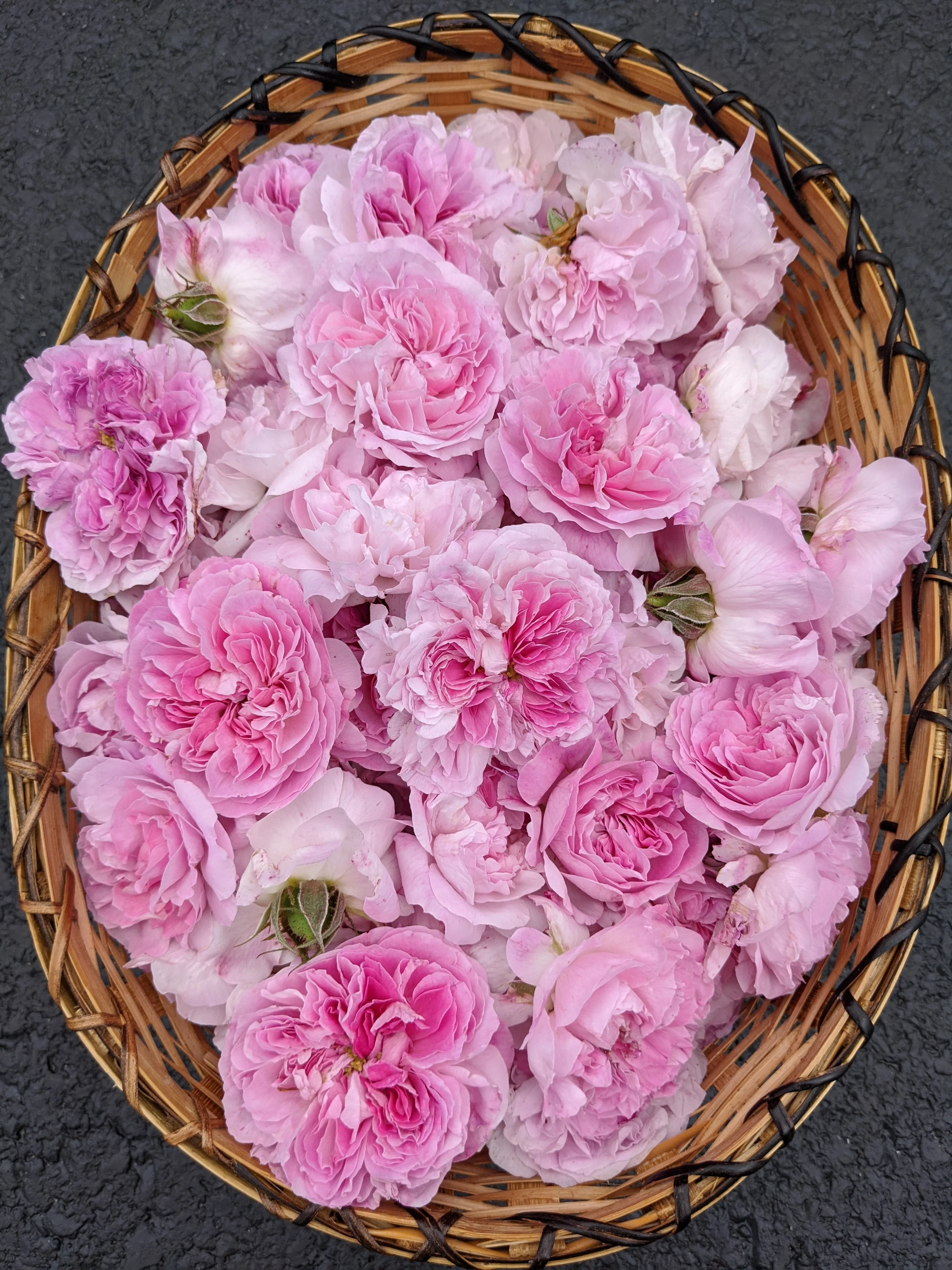 Damask Rose Enfleurage. - Image 40