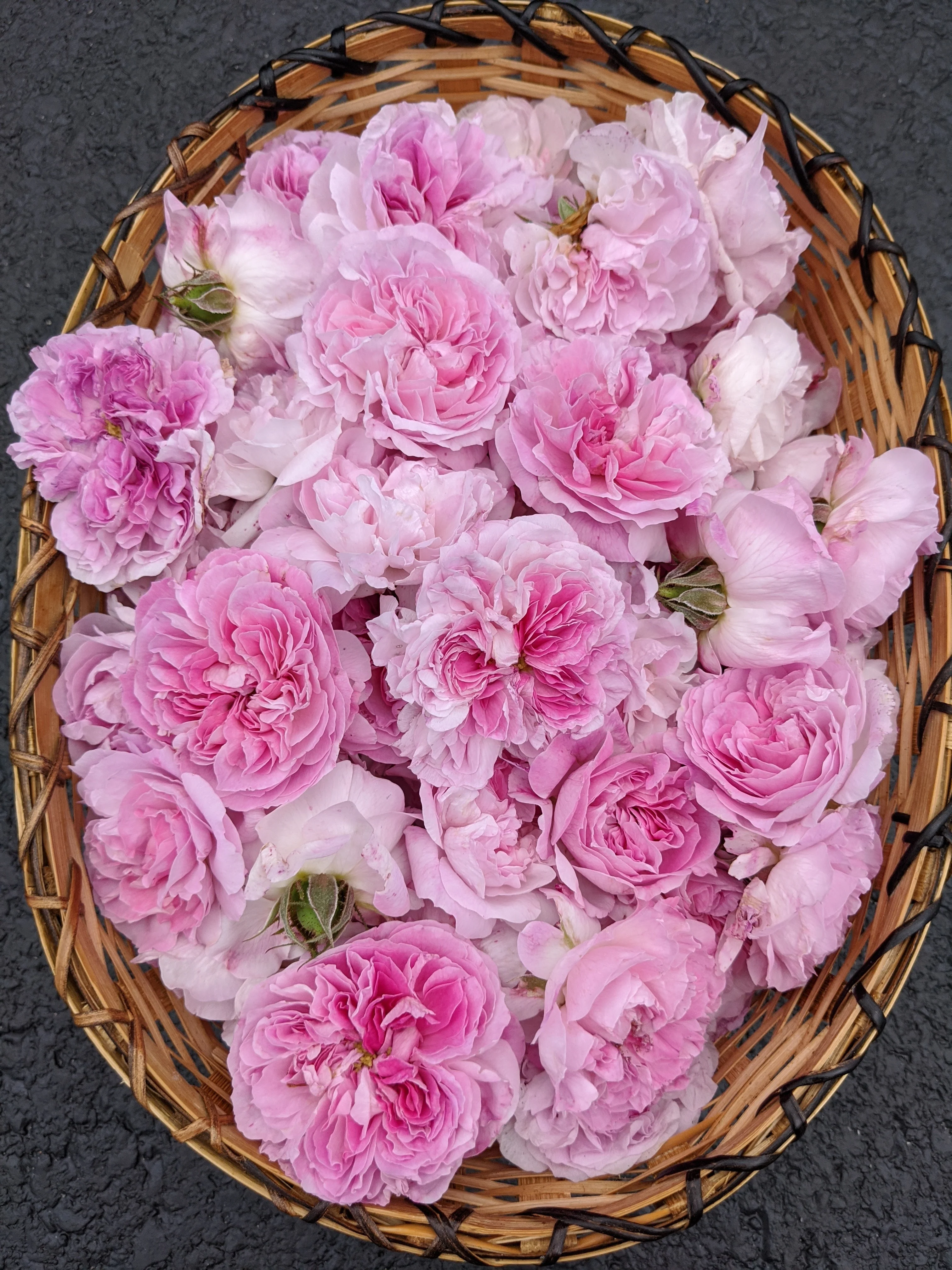 Damask Rose Enfleurage. - Image 50