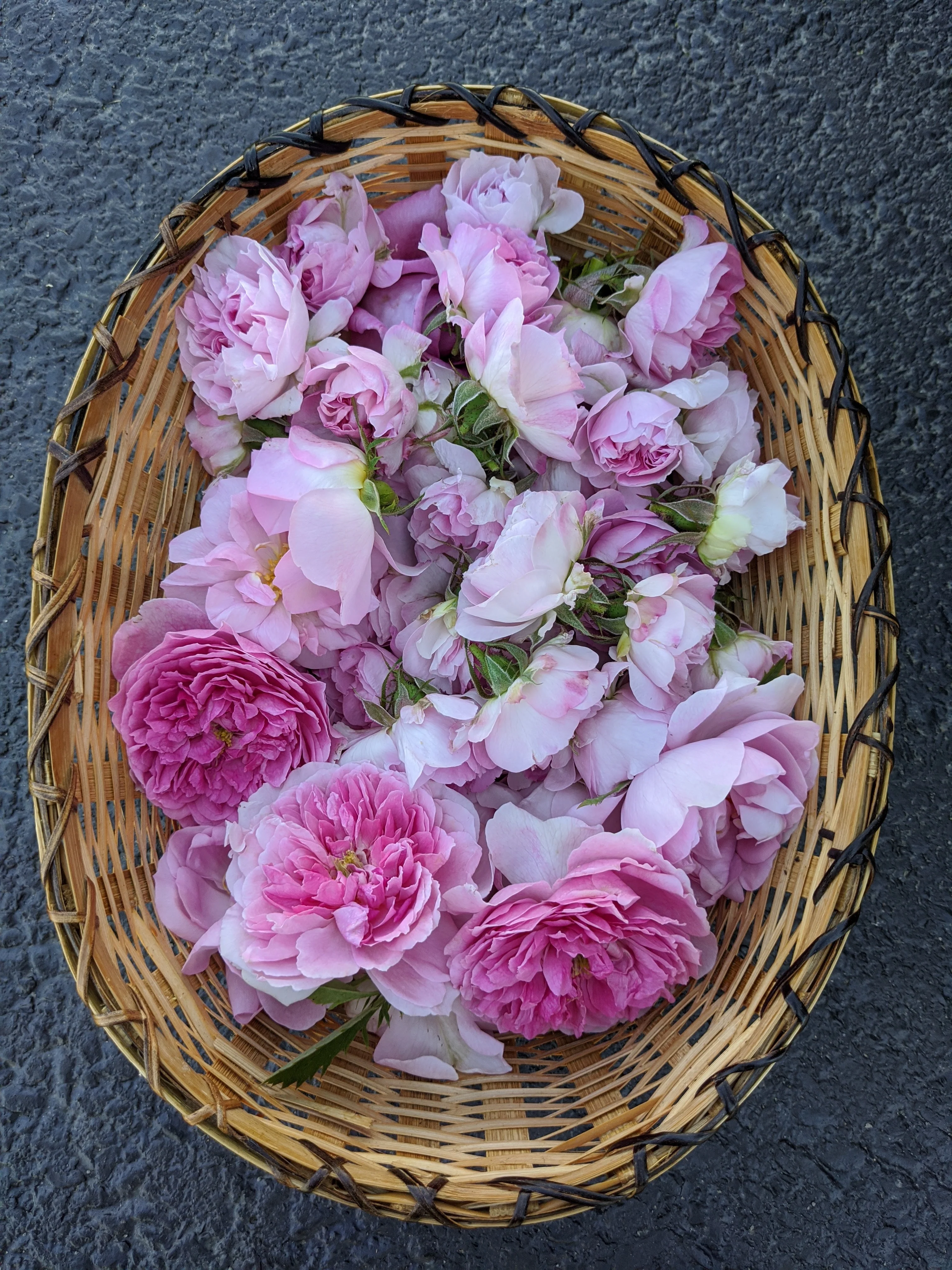 Damask Rose Enfleurage. - Image 59