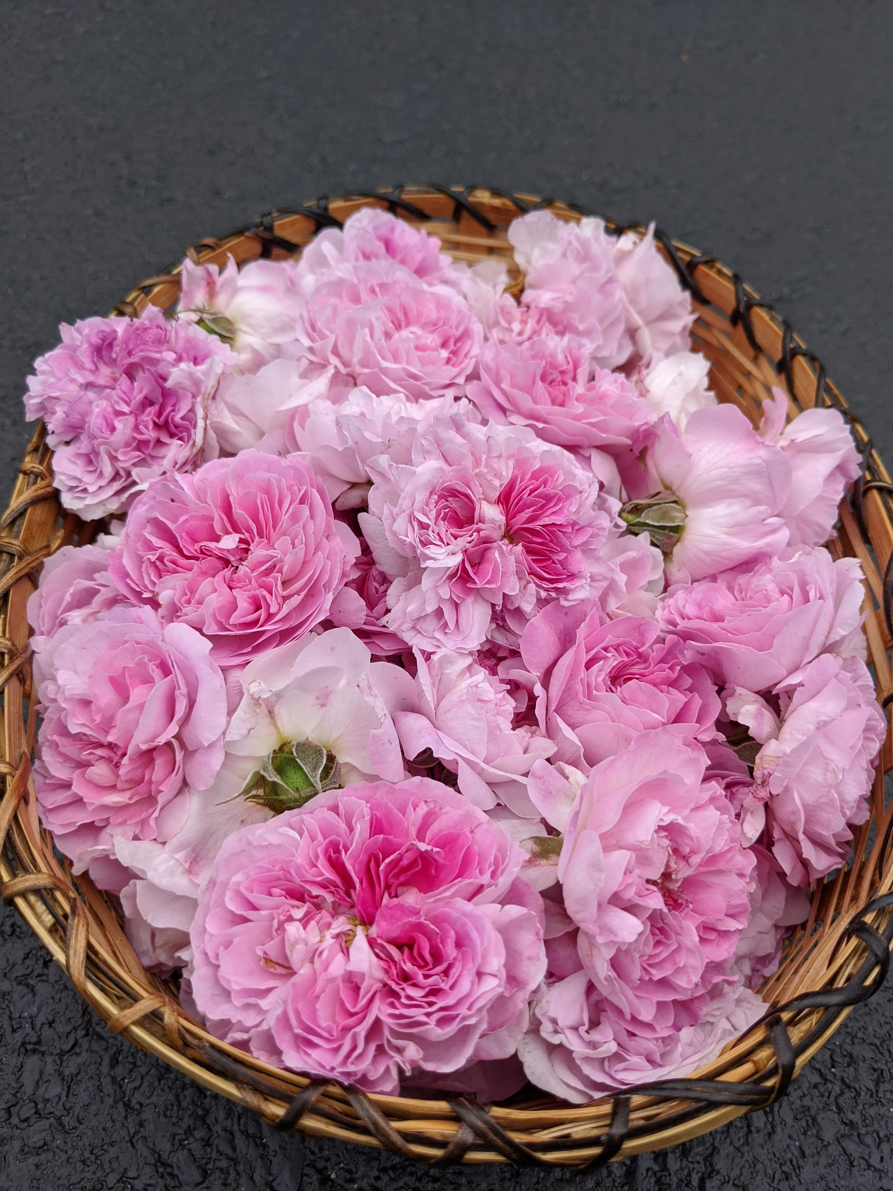Damask Rose Enfleurage. - Image 72