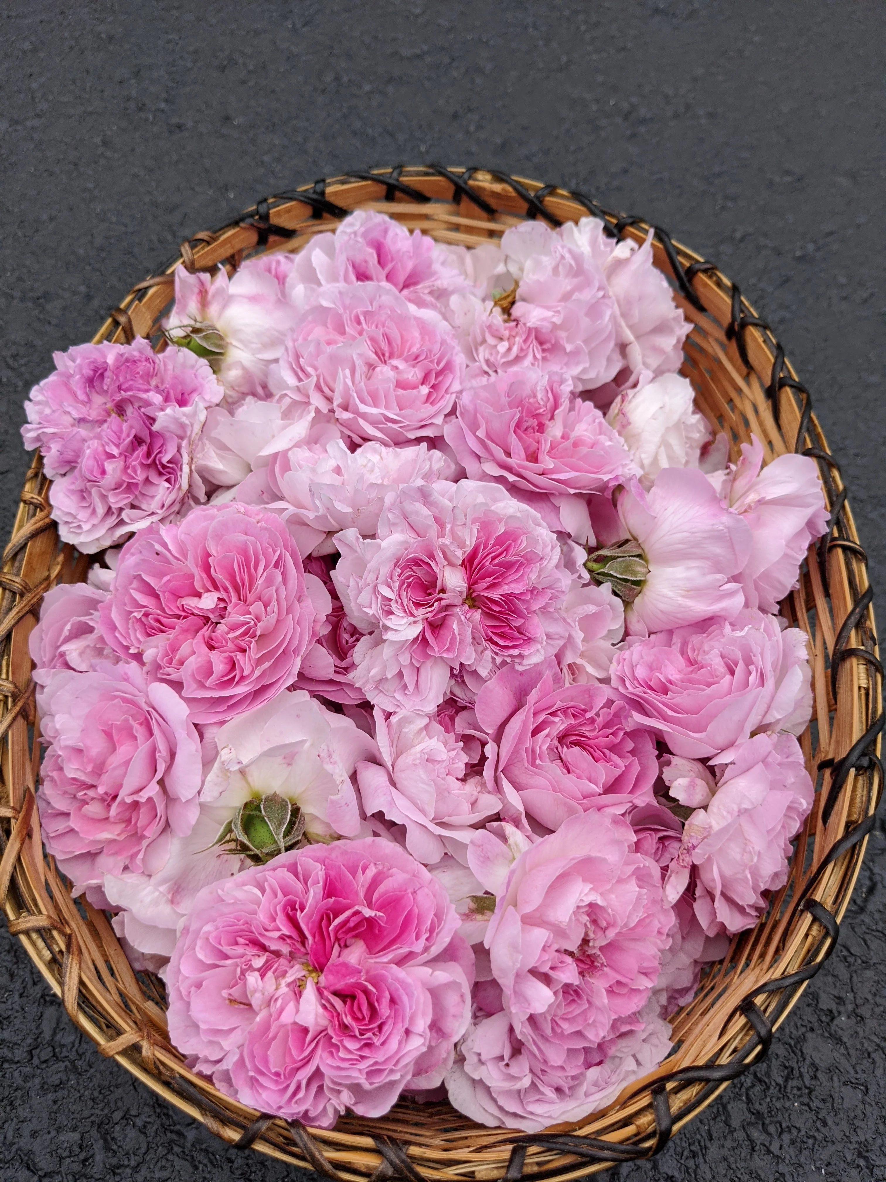 Damask Rose Enfleurage. - Image 74