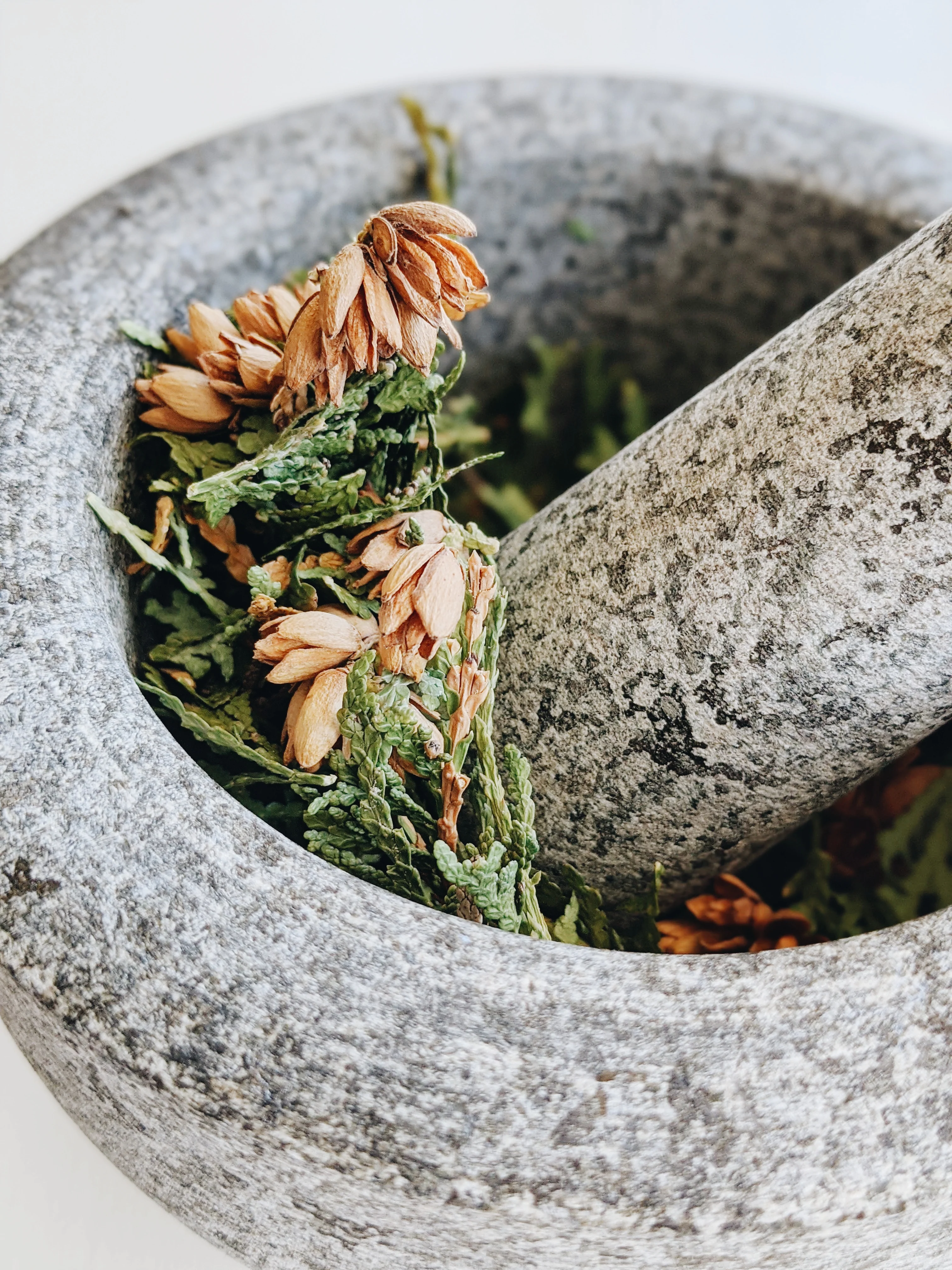 Ghost incense. Perfumer-grown cured herbs and woods. Dominican sage, northern white cedar, scented geranium, patchouli. - Image 5