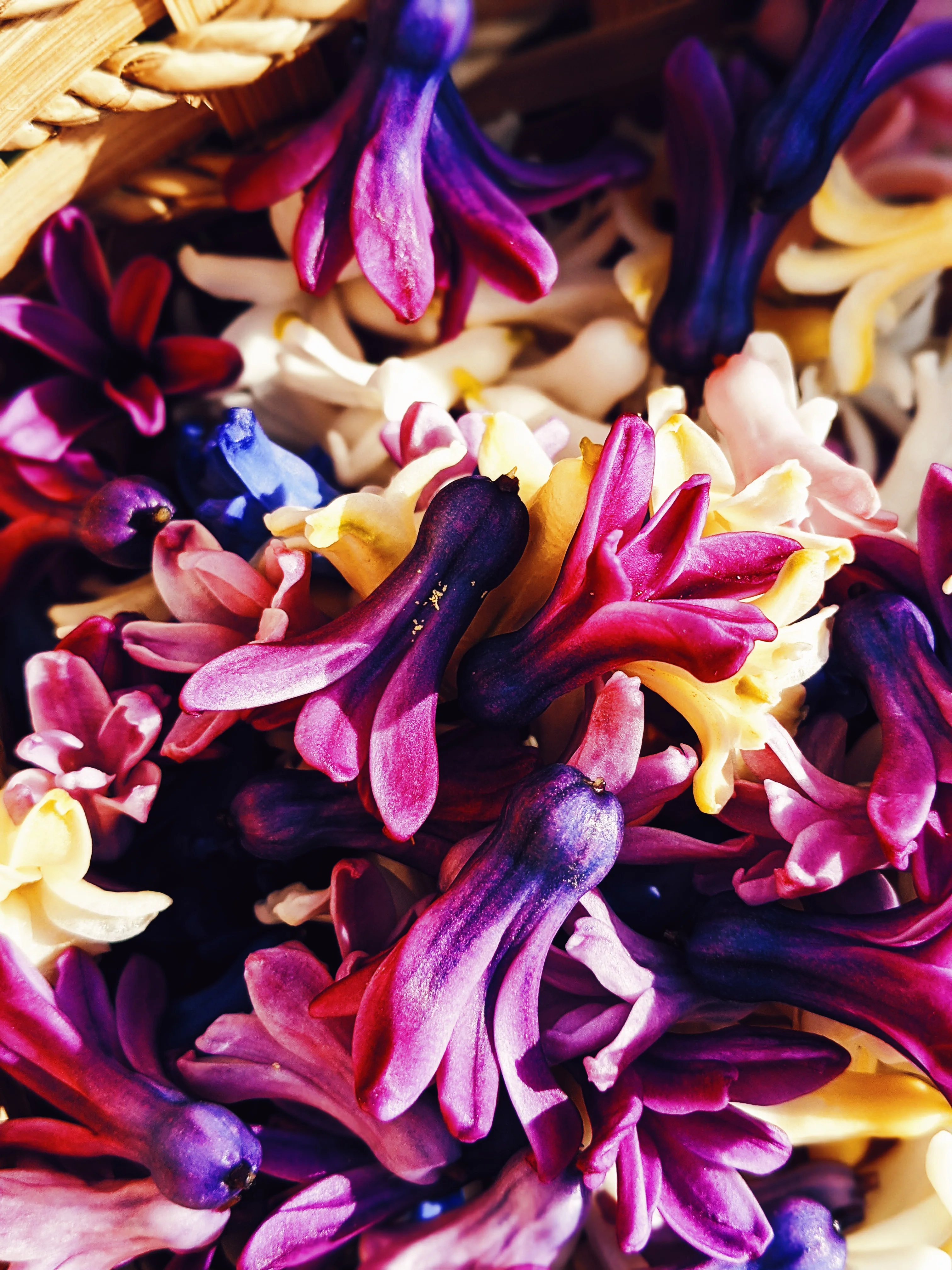 Hyacinth Enfleurage. - Image 10