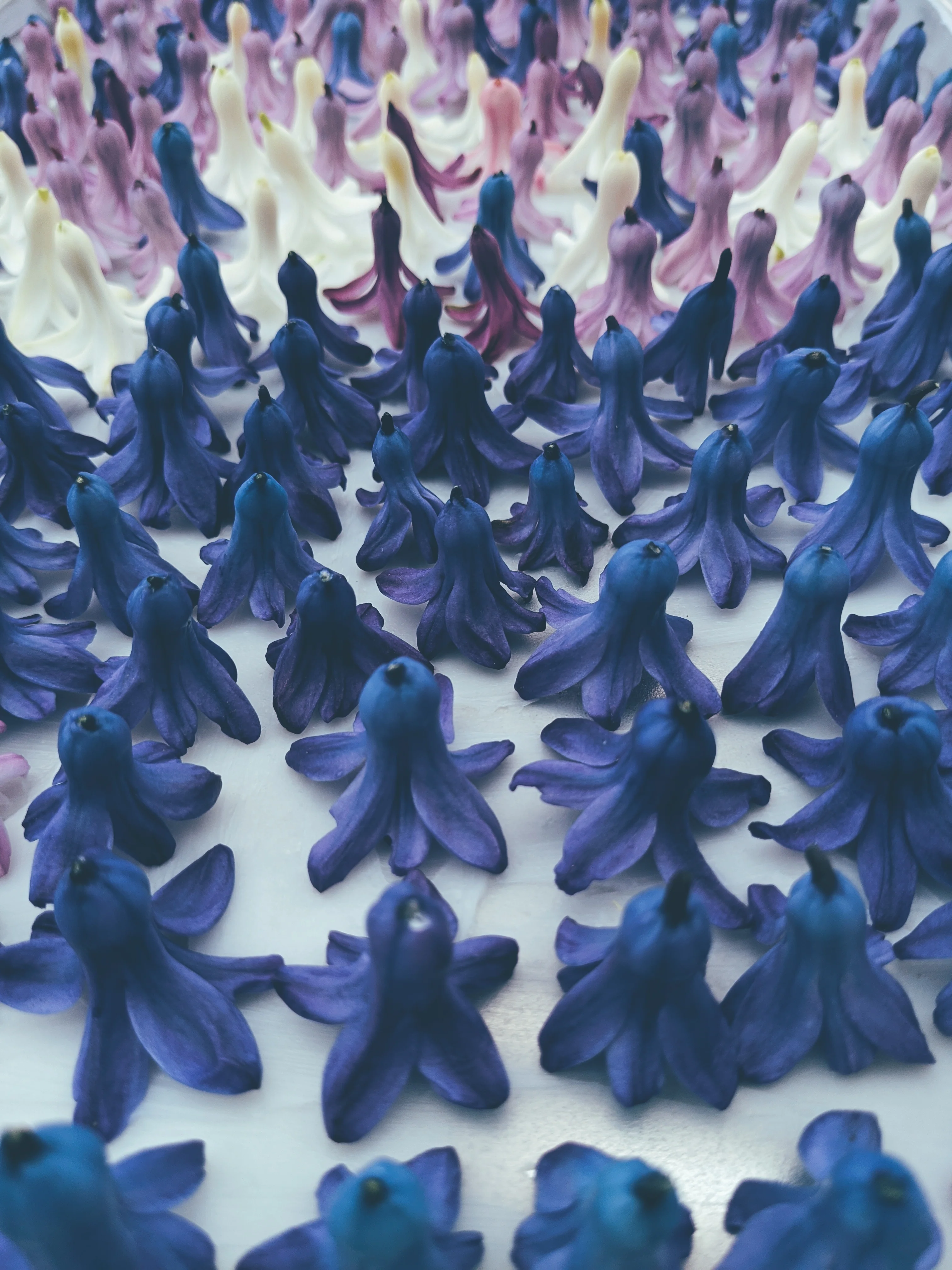 Hyacinth Enfleurage. - Image 20