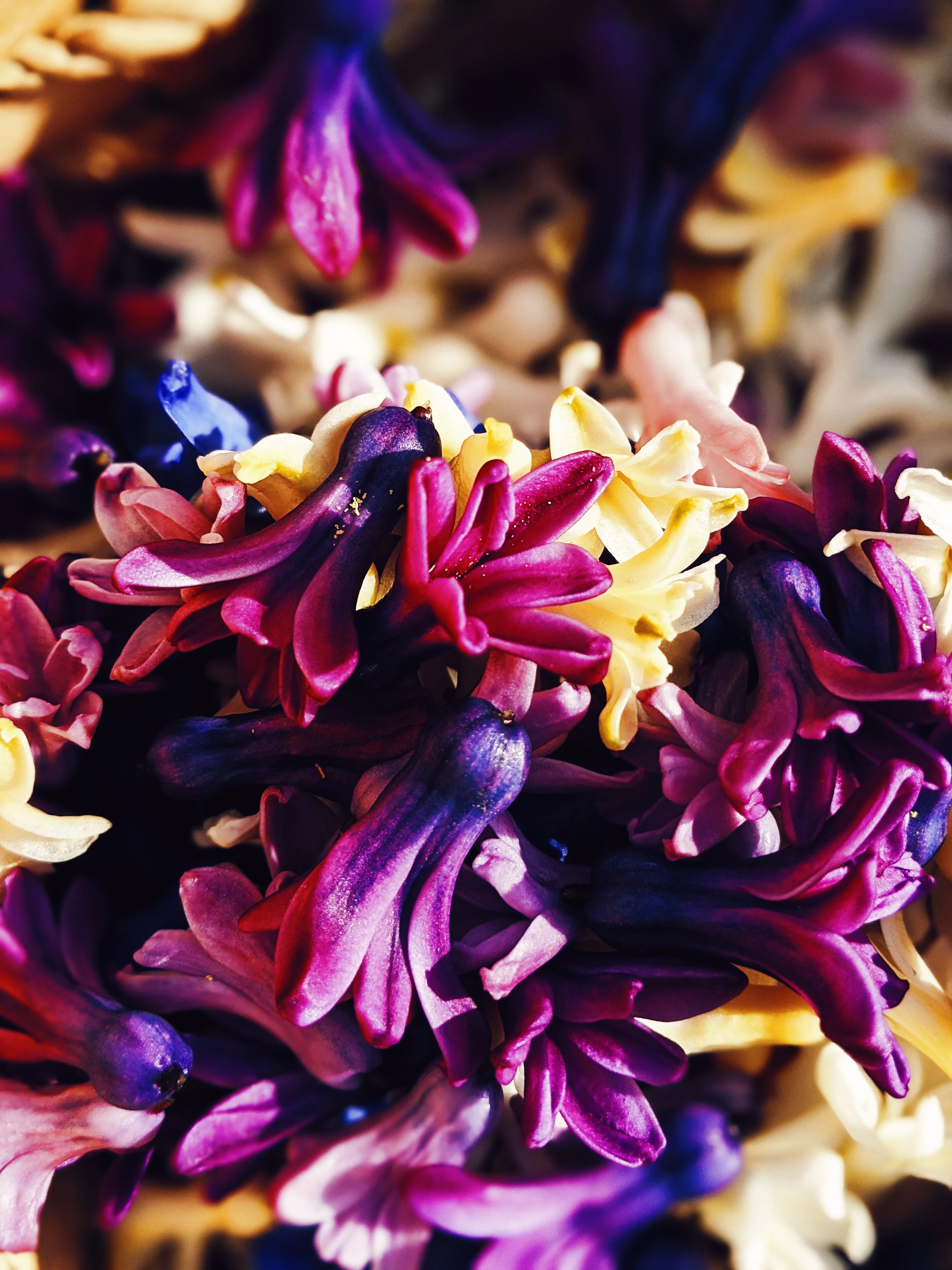 Hyacinth Enfleurage. - Image 3