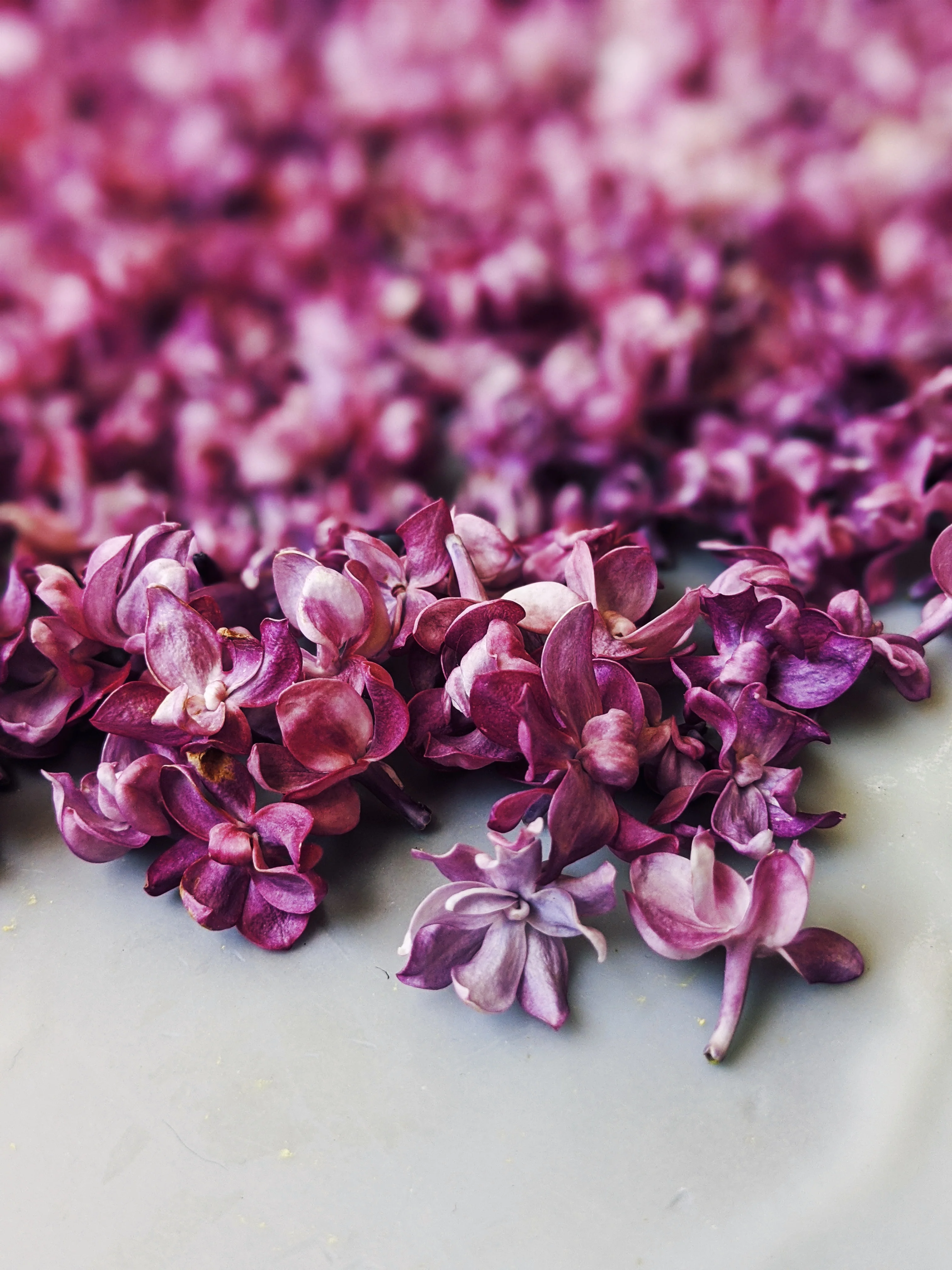 Lilac and Peach Honey Enfleurage. - Image 3