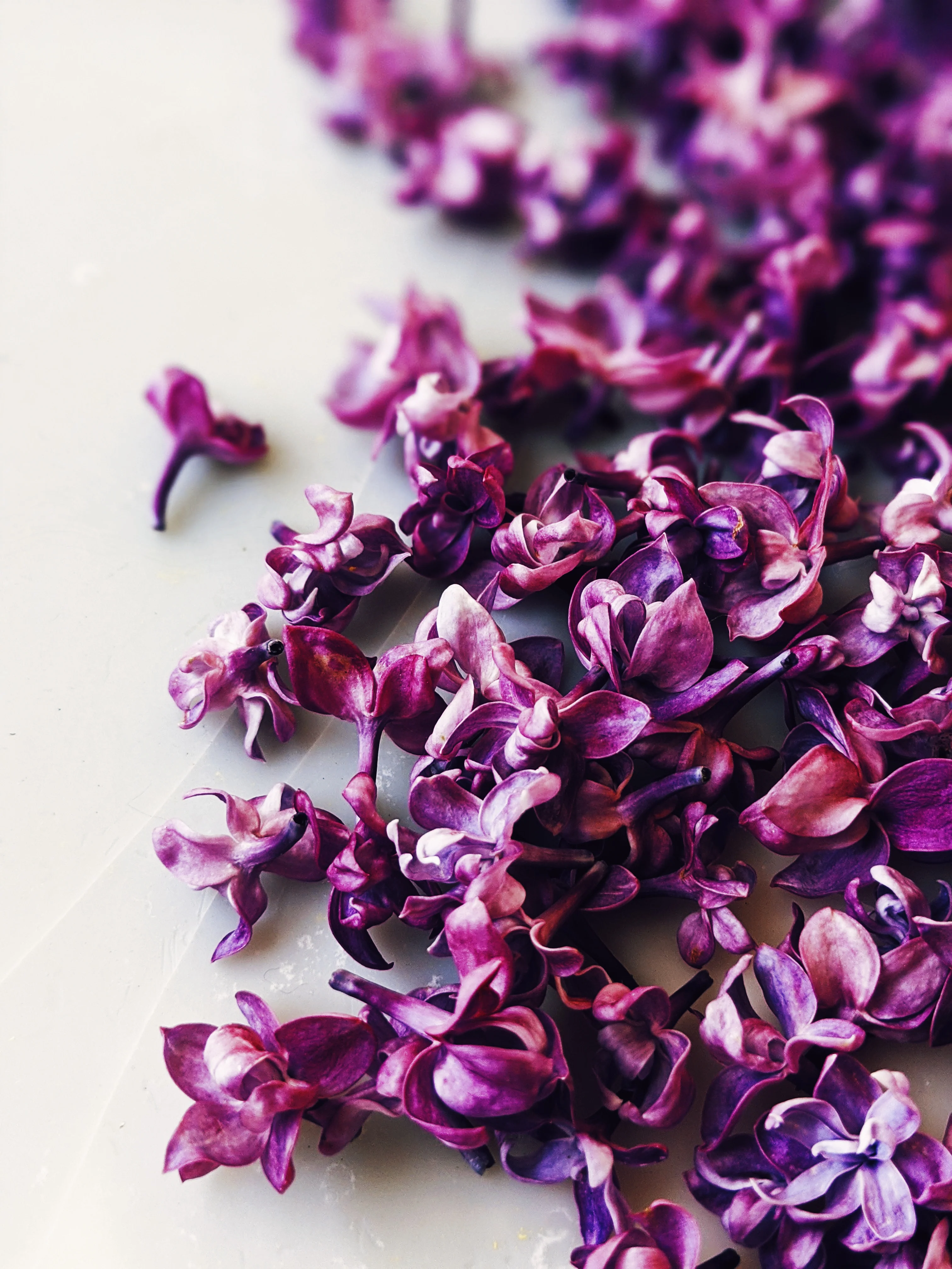 Lilac and Tabacum Leaf Enfleurage. - Image 3