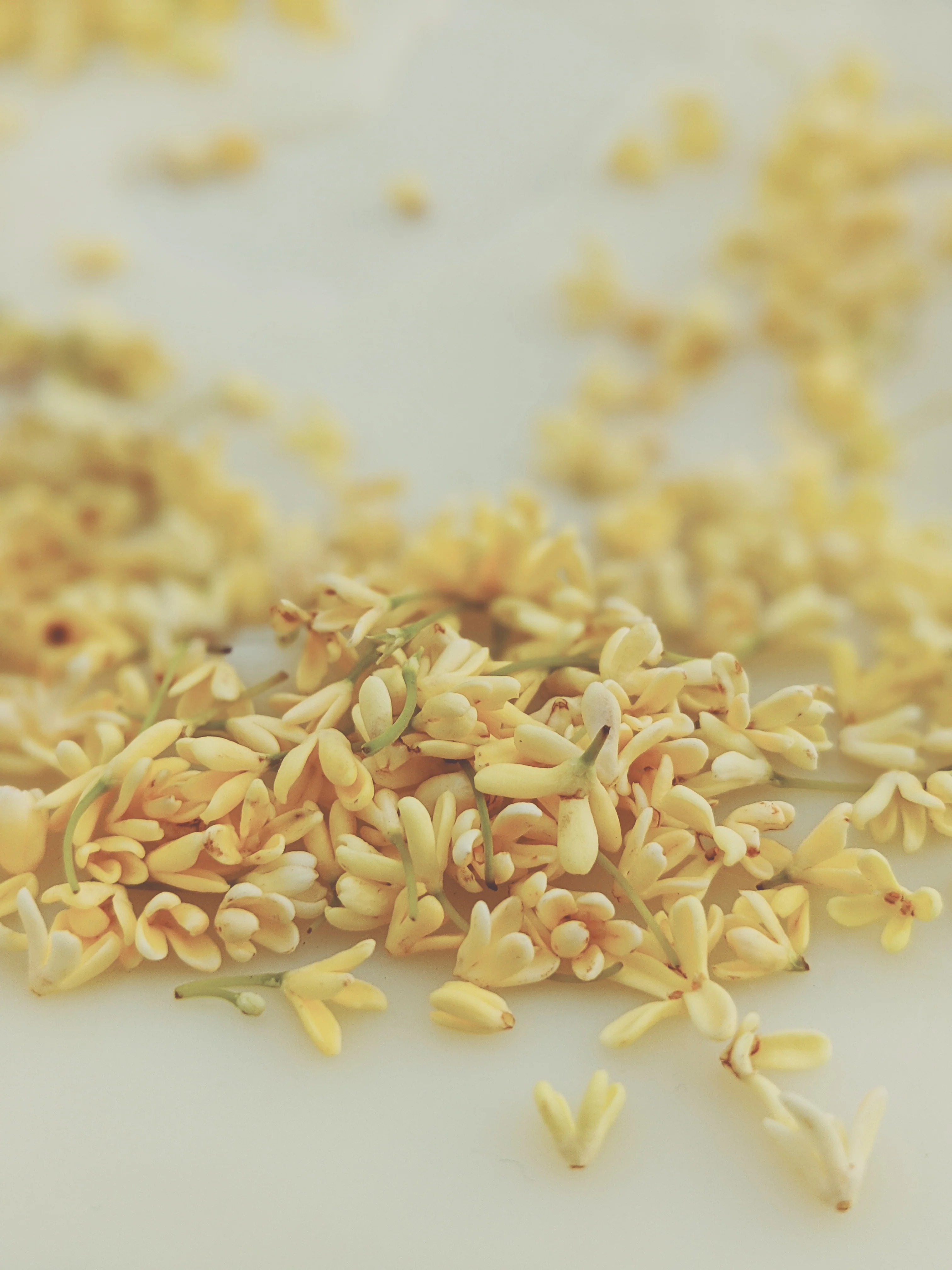 Osmanthus Enfleurage. - Image 10