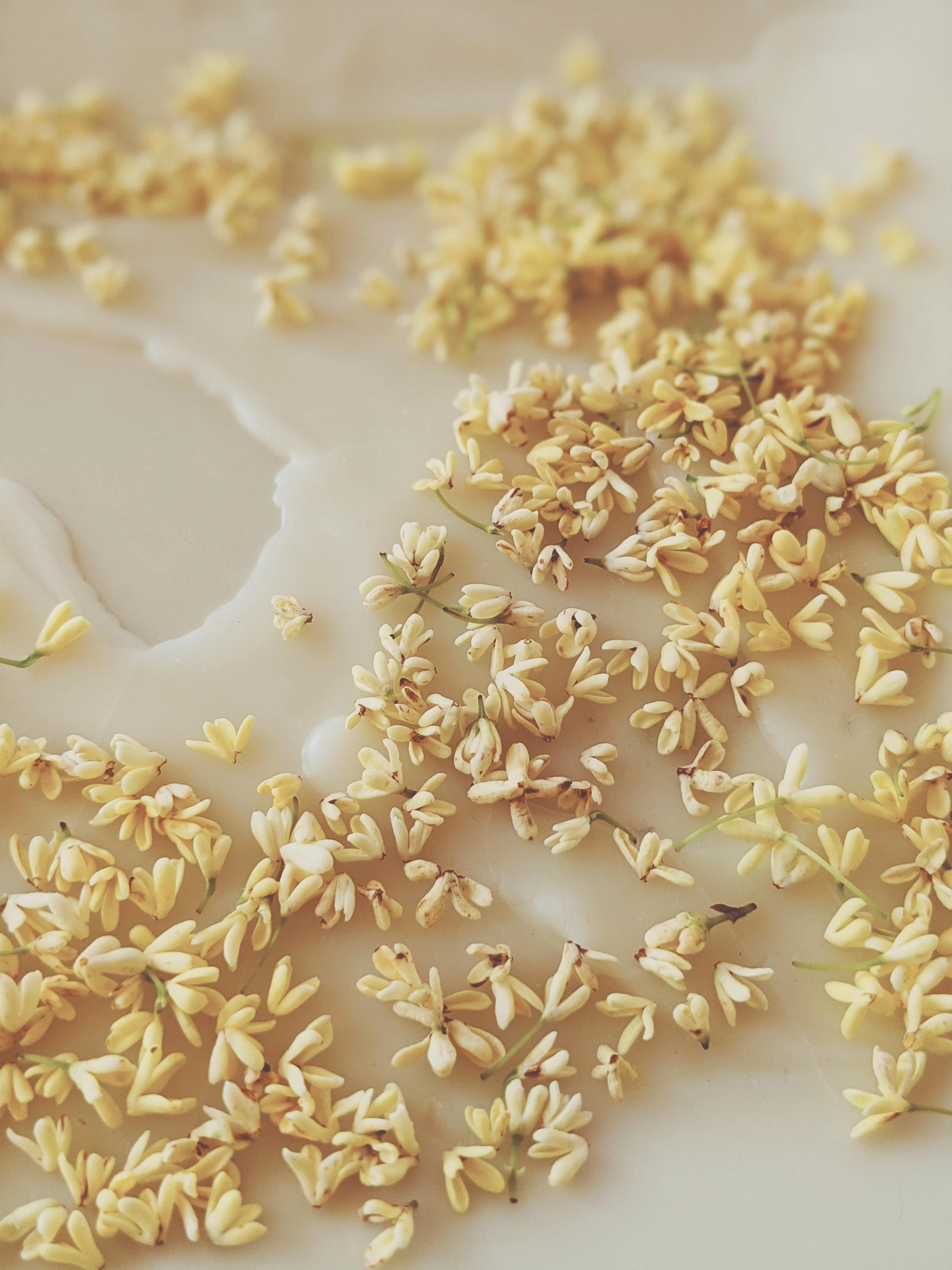 Osmanthus Enfleurage. - Image 11