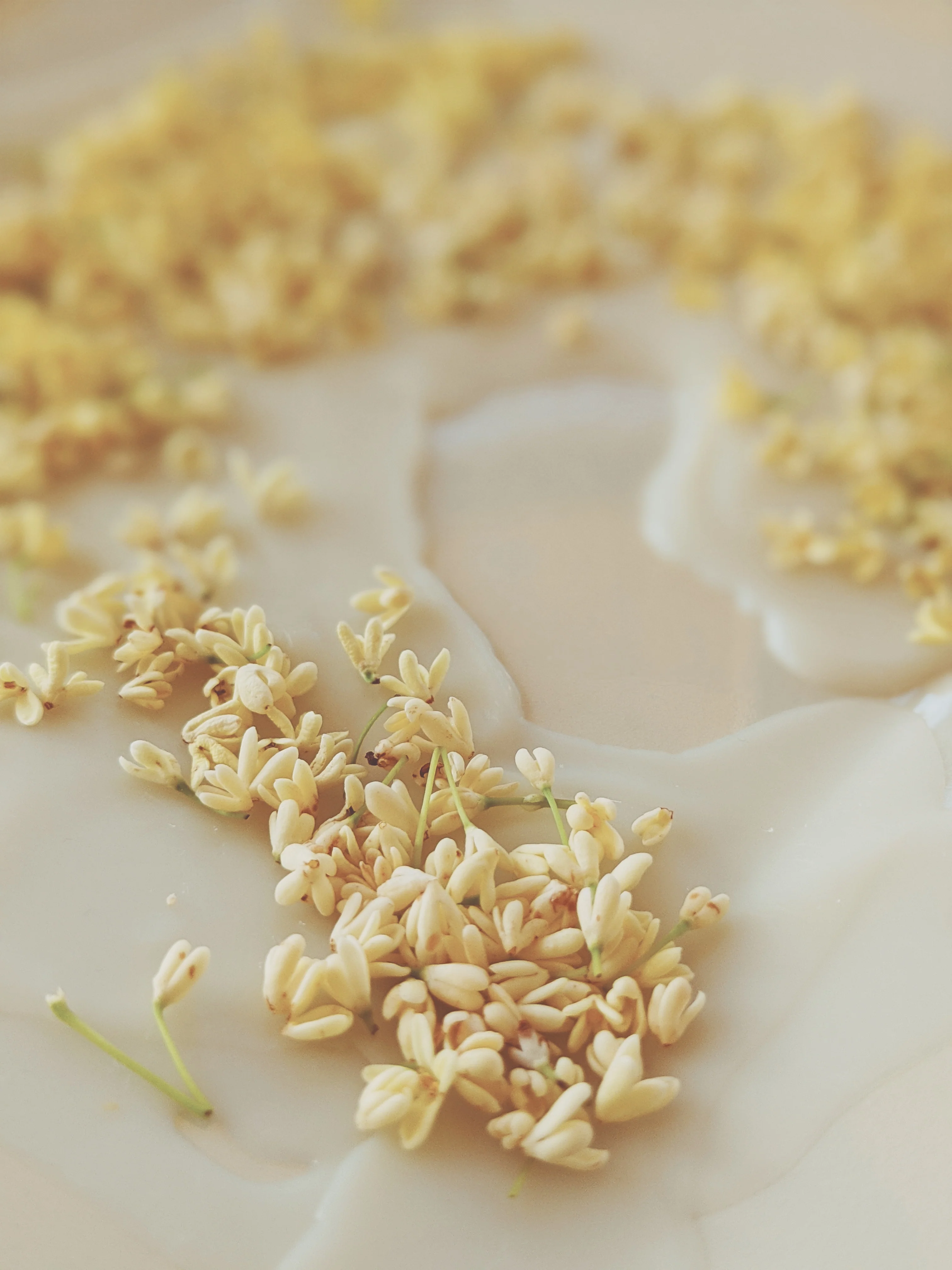 Osmanthus Enfleurage. - Image 12