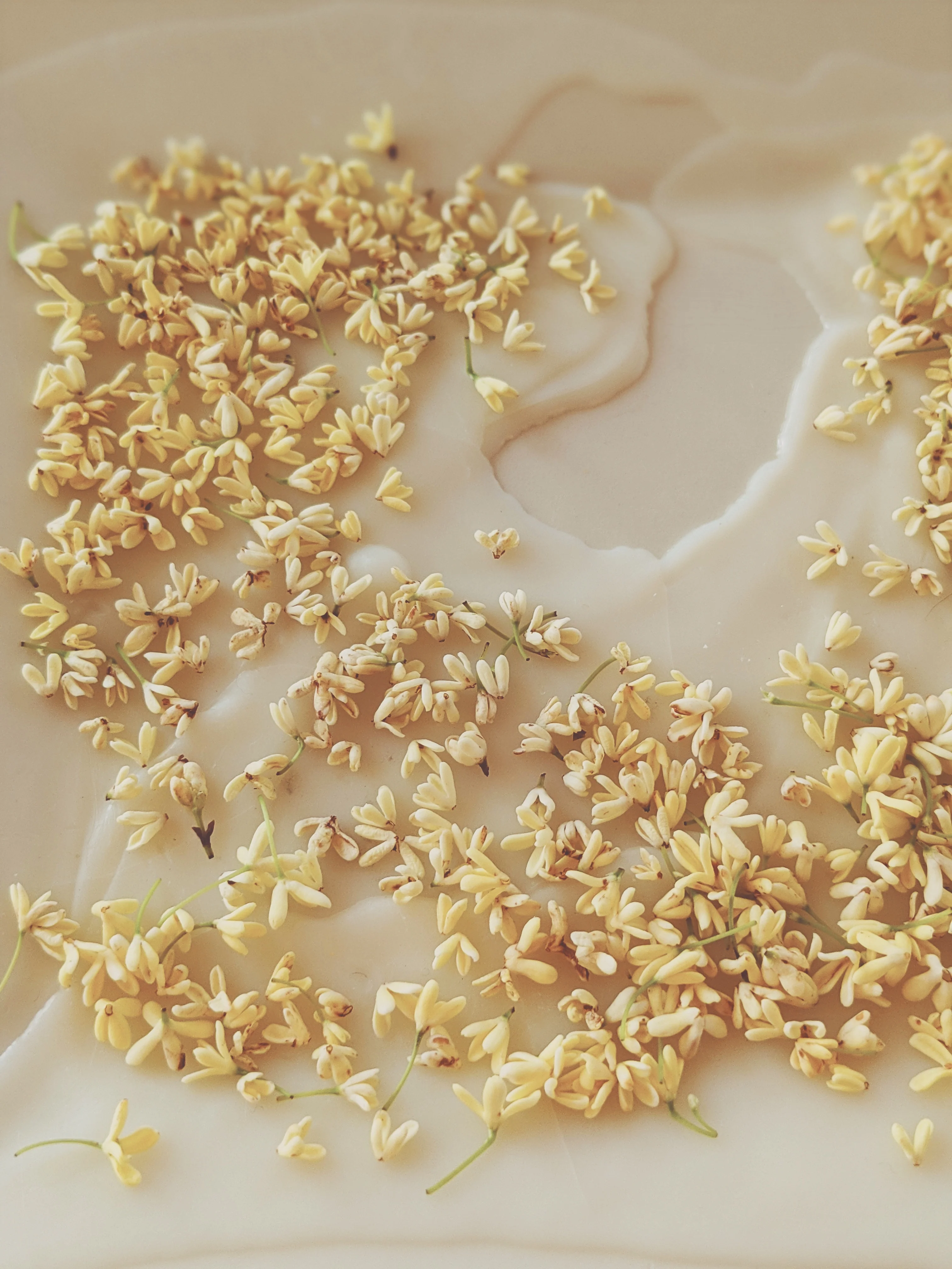 Osmanthus Enfleurage. - Image 13