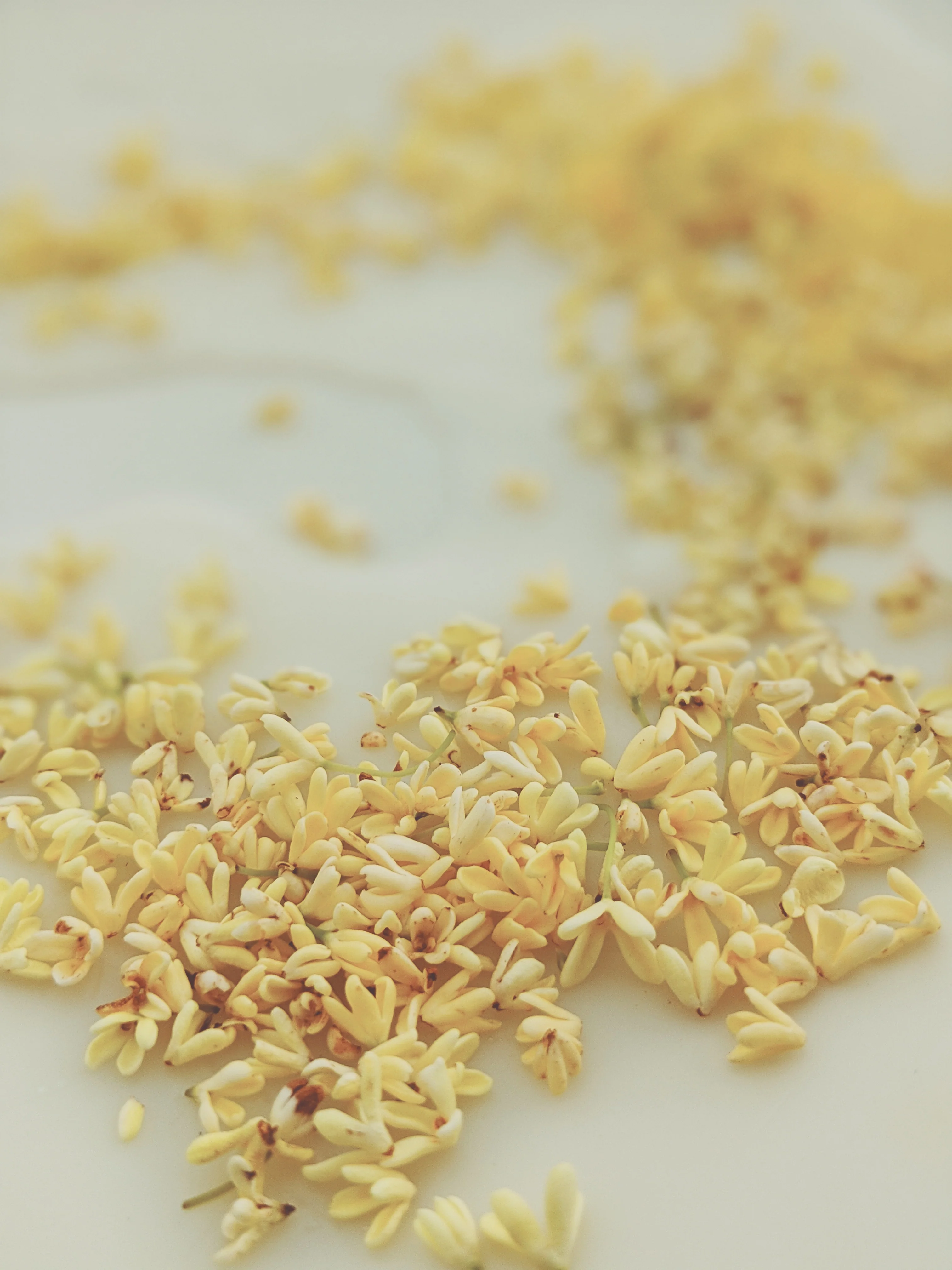 Osmanthus Enfleurage. - Image 14