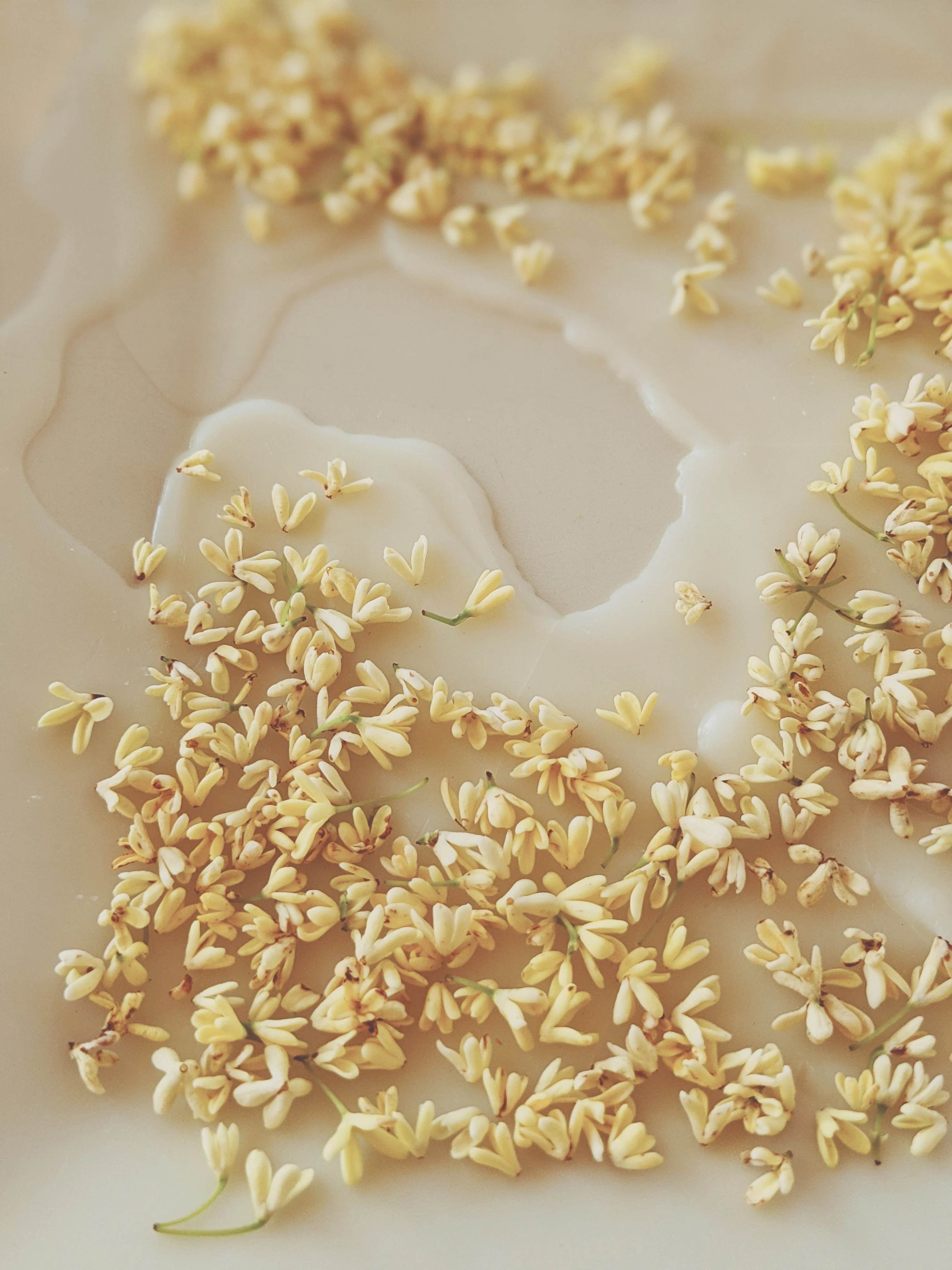 Osmanthus Enfleurage. - Image 15