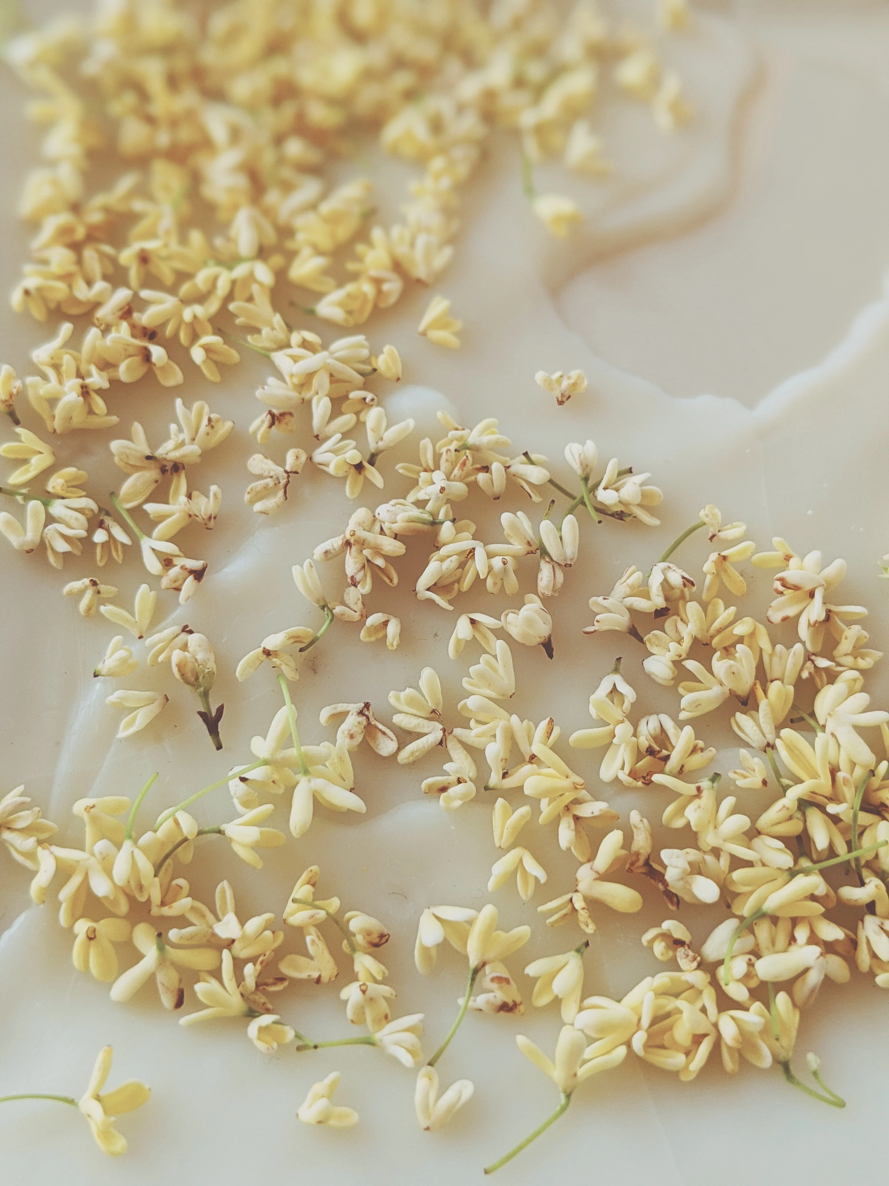 Osmanthus Enfleurage. - Image 16