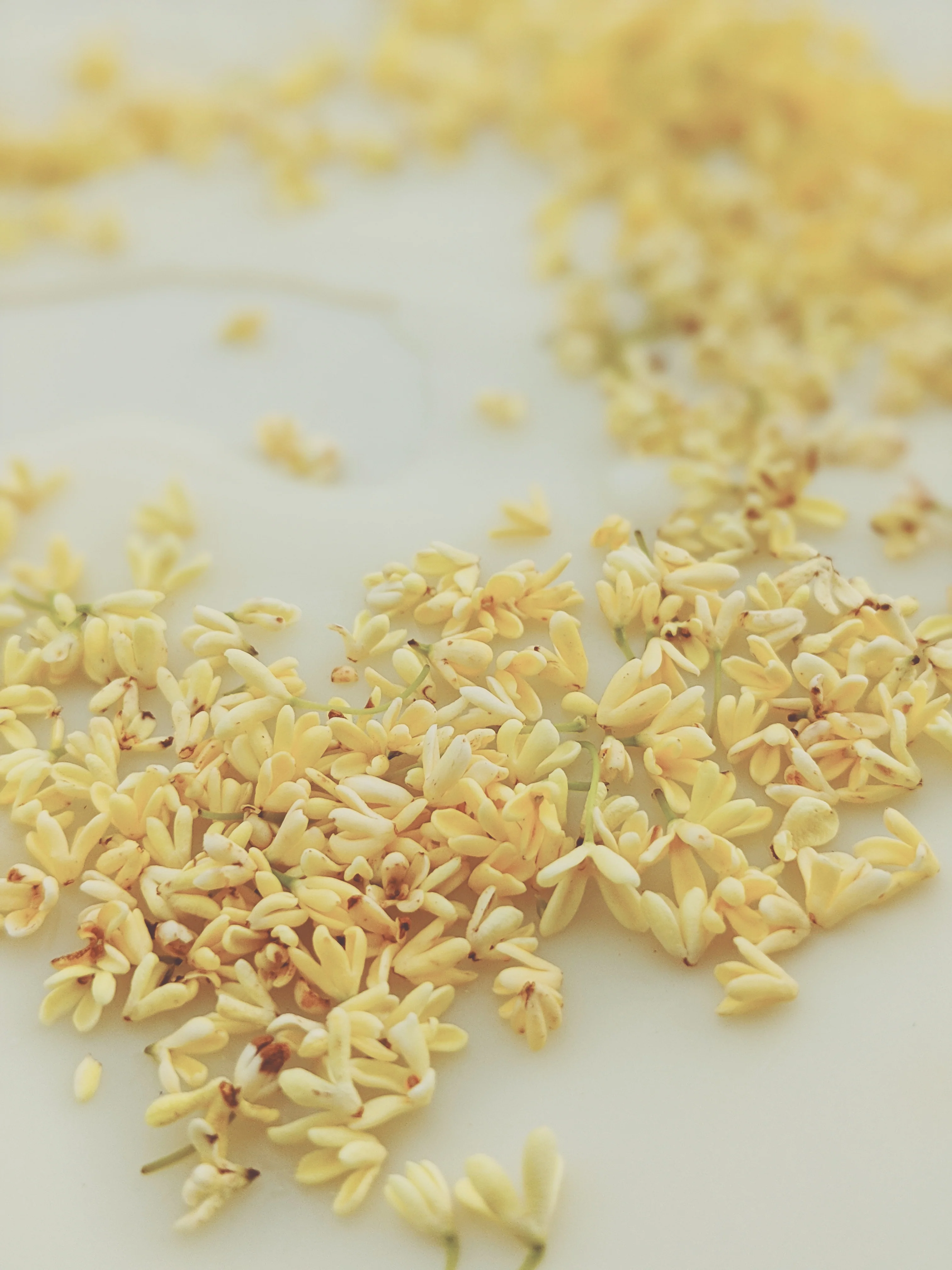 Osmanthus Enfleurage. - Image 18