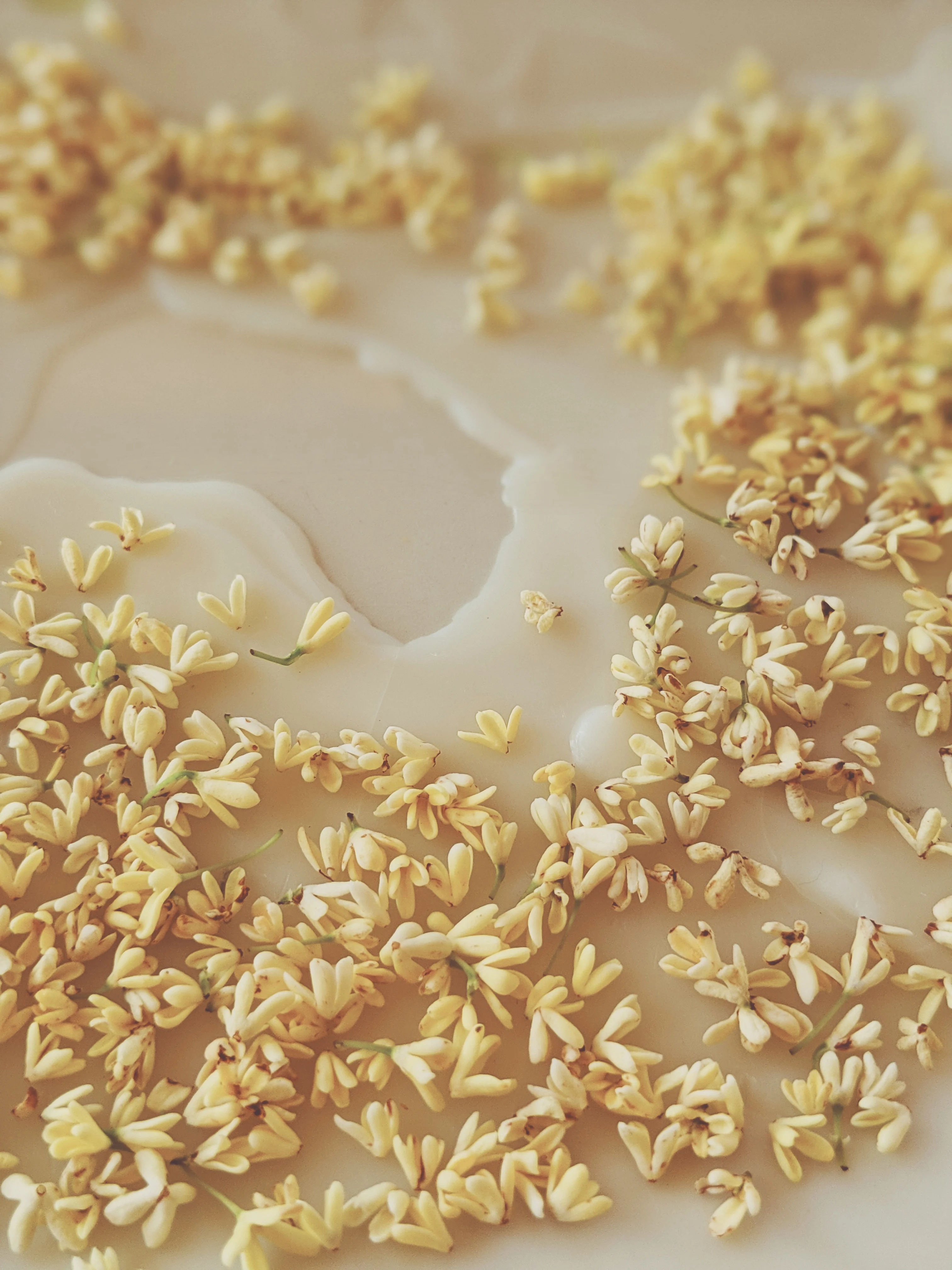 Osmanthus Enfleurage. - Image 3