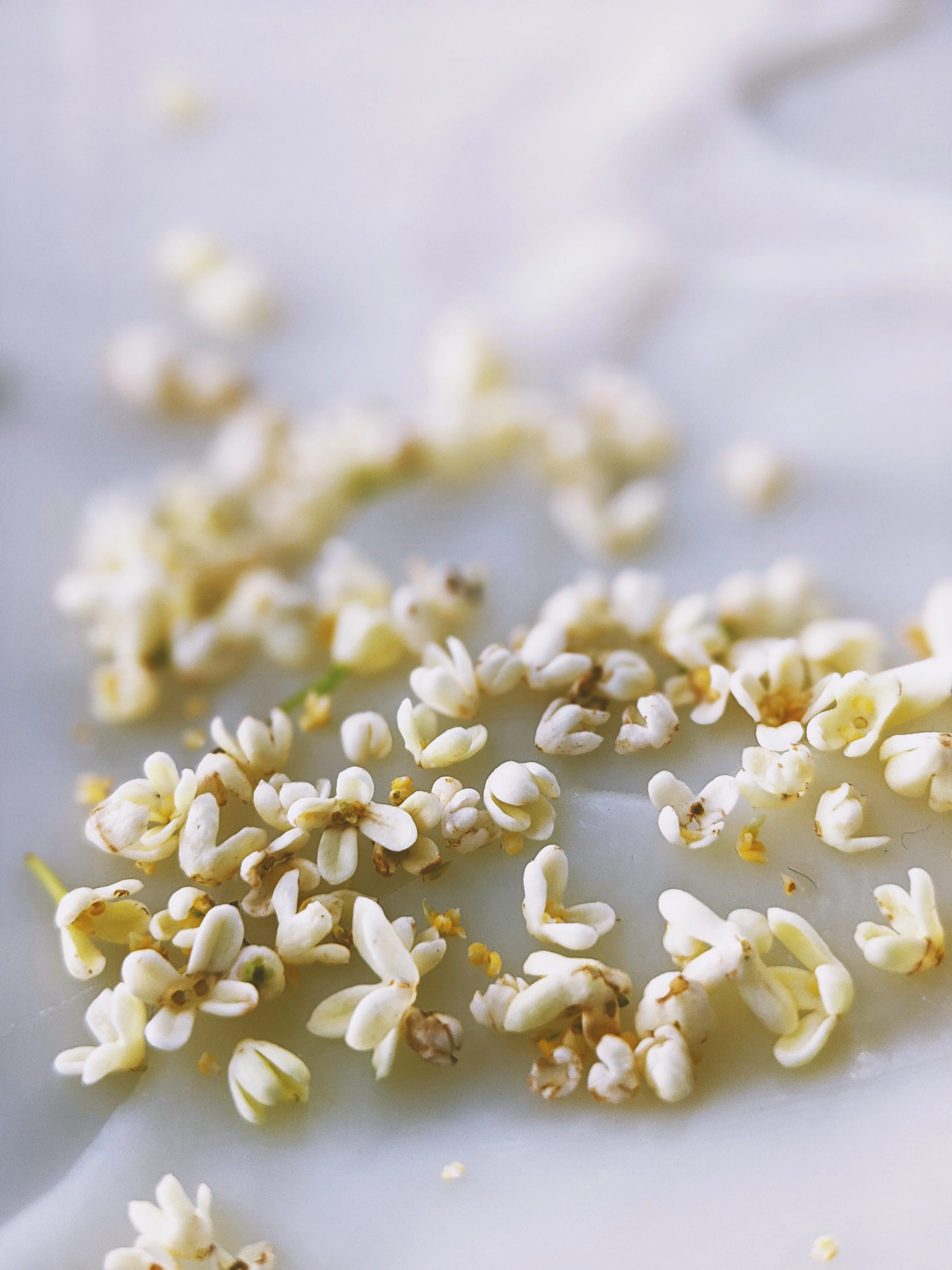 Osmanthus Enfleurage. - Image 7