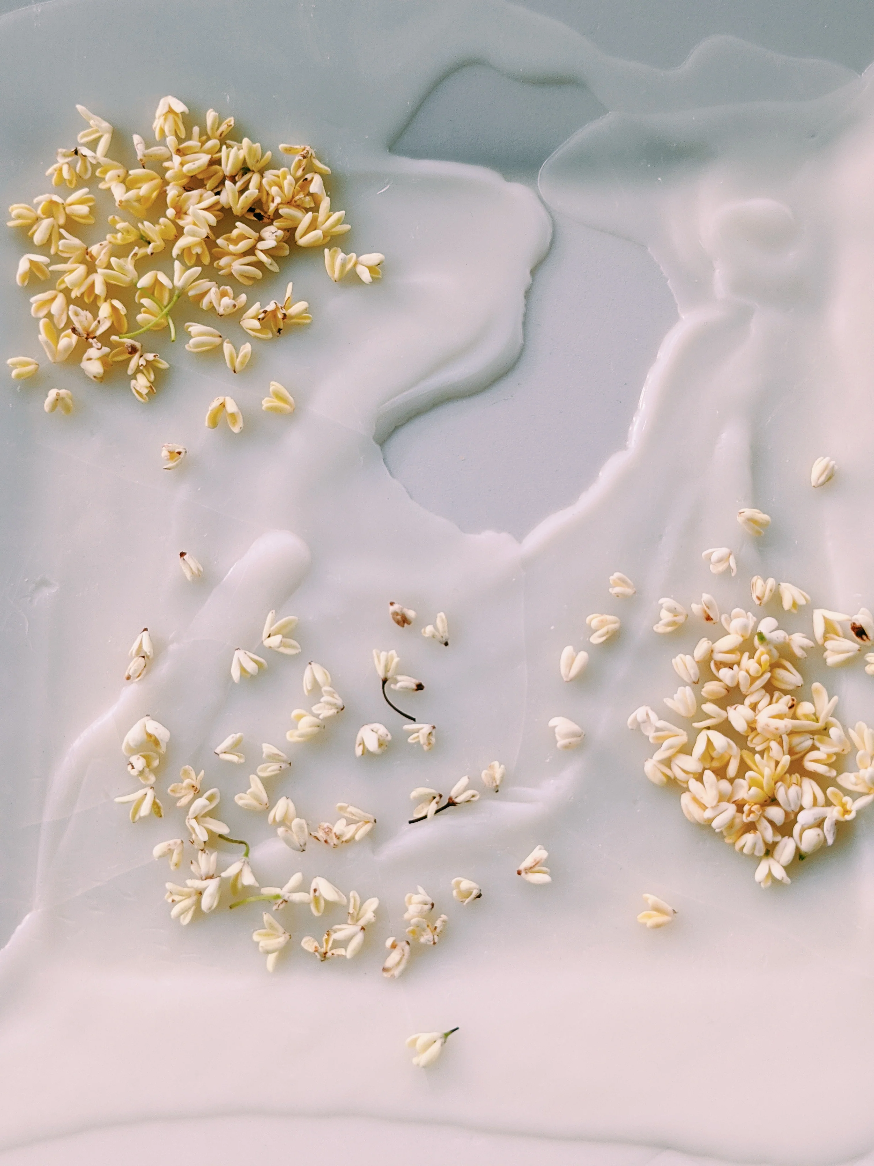 Osmanthus Enfleurage. - Image 9