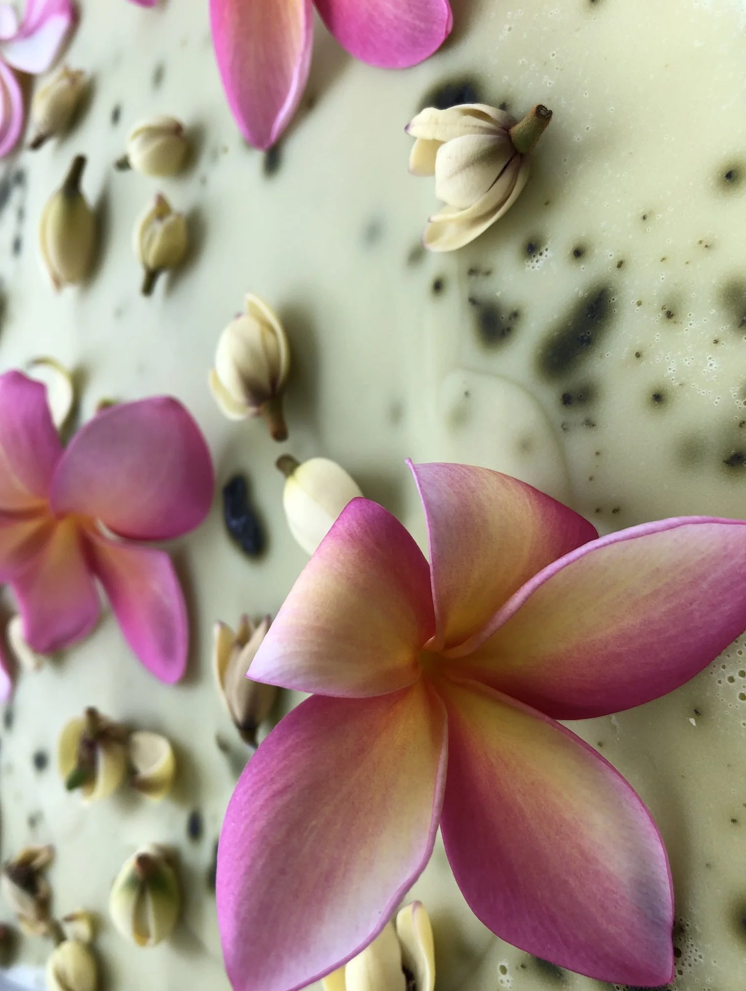 Plumeria, Banana Magnolia and Seogwang Tea Enfleurage. - Image 6