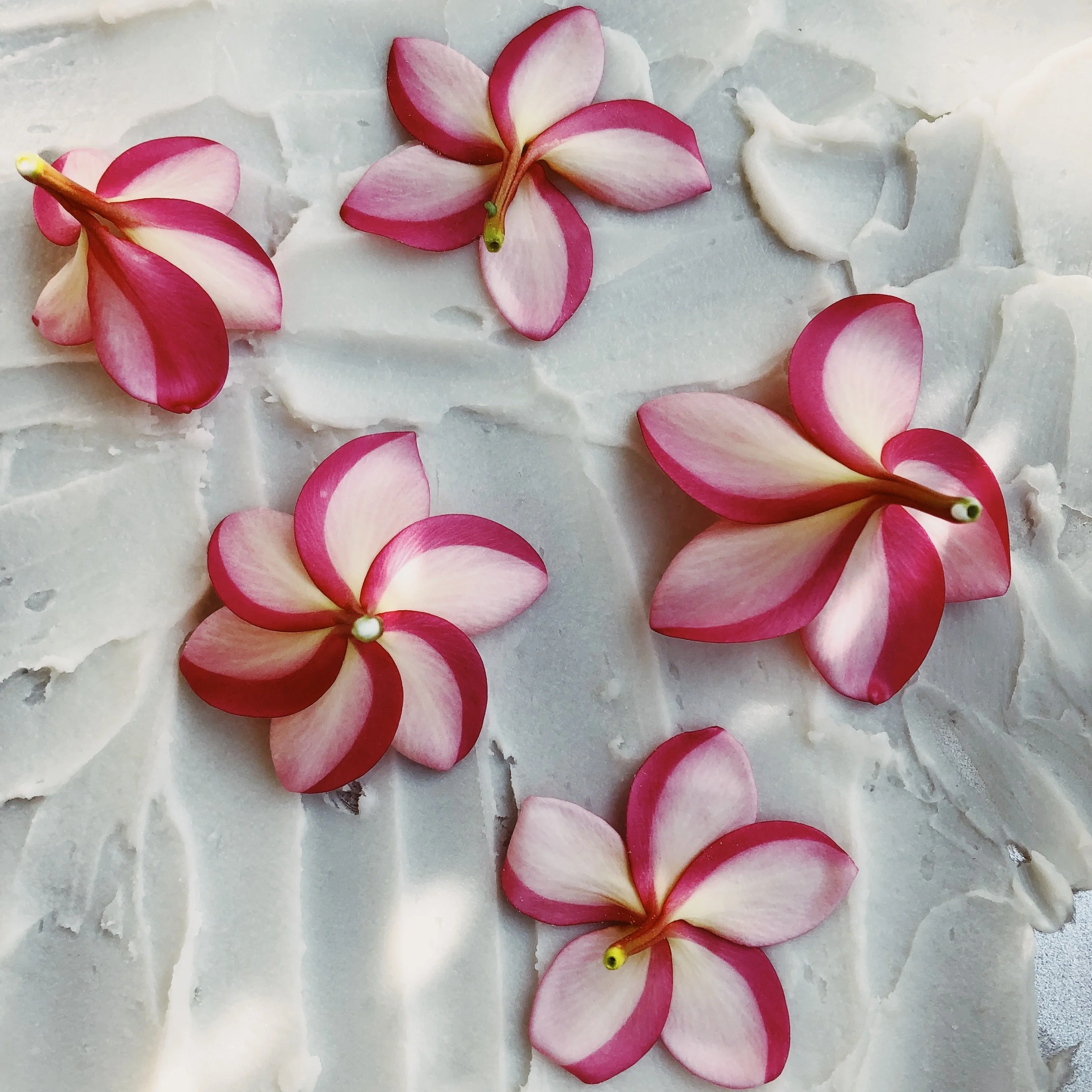 Plumeria Enfleurage. - Image 6