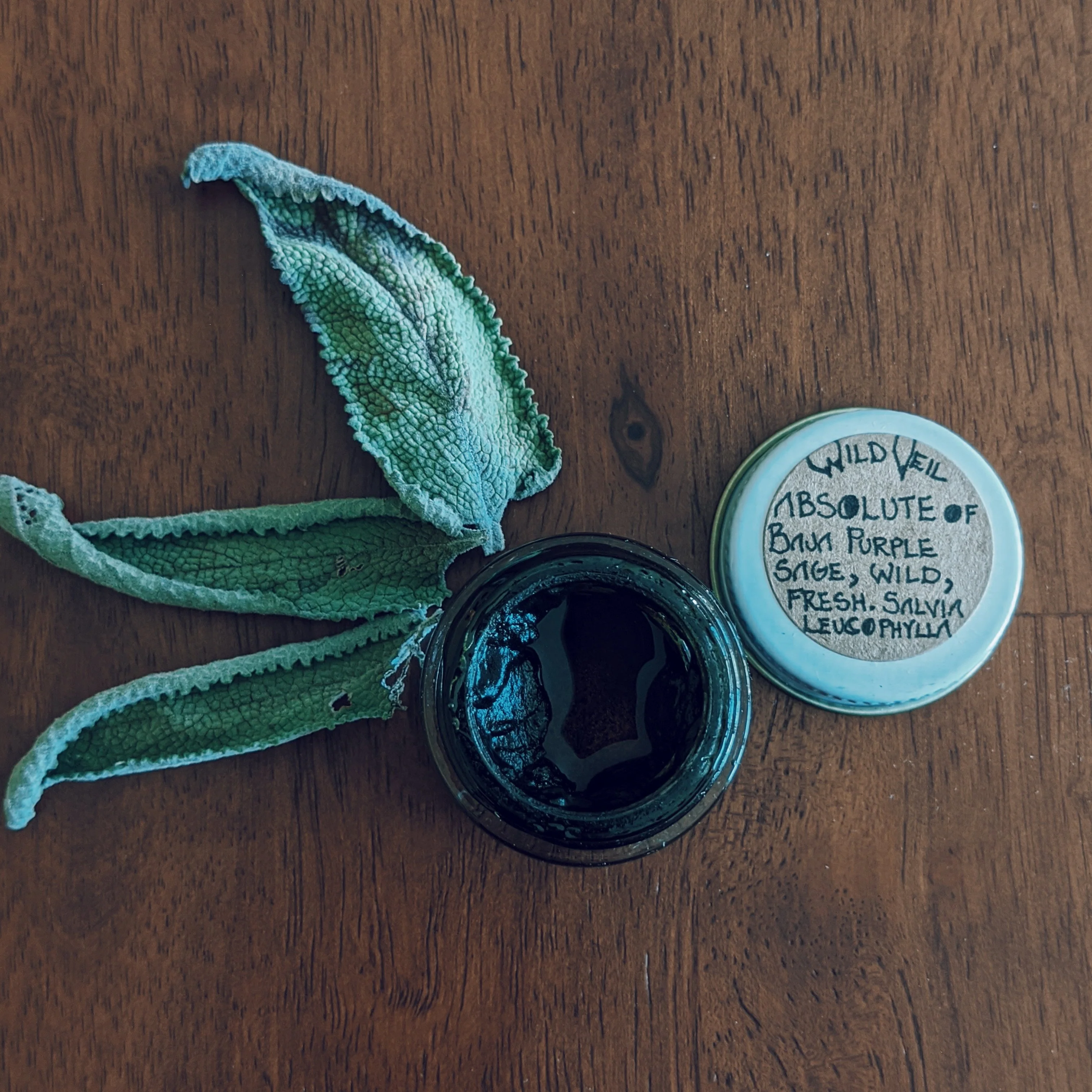 Sage Scrub. Natural perfume fixative. Homegrown white, baja, and black sages and chaparral. - Image 11