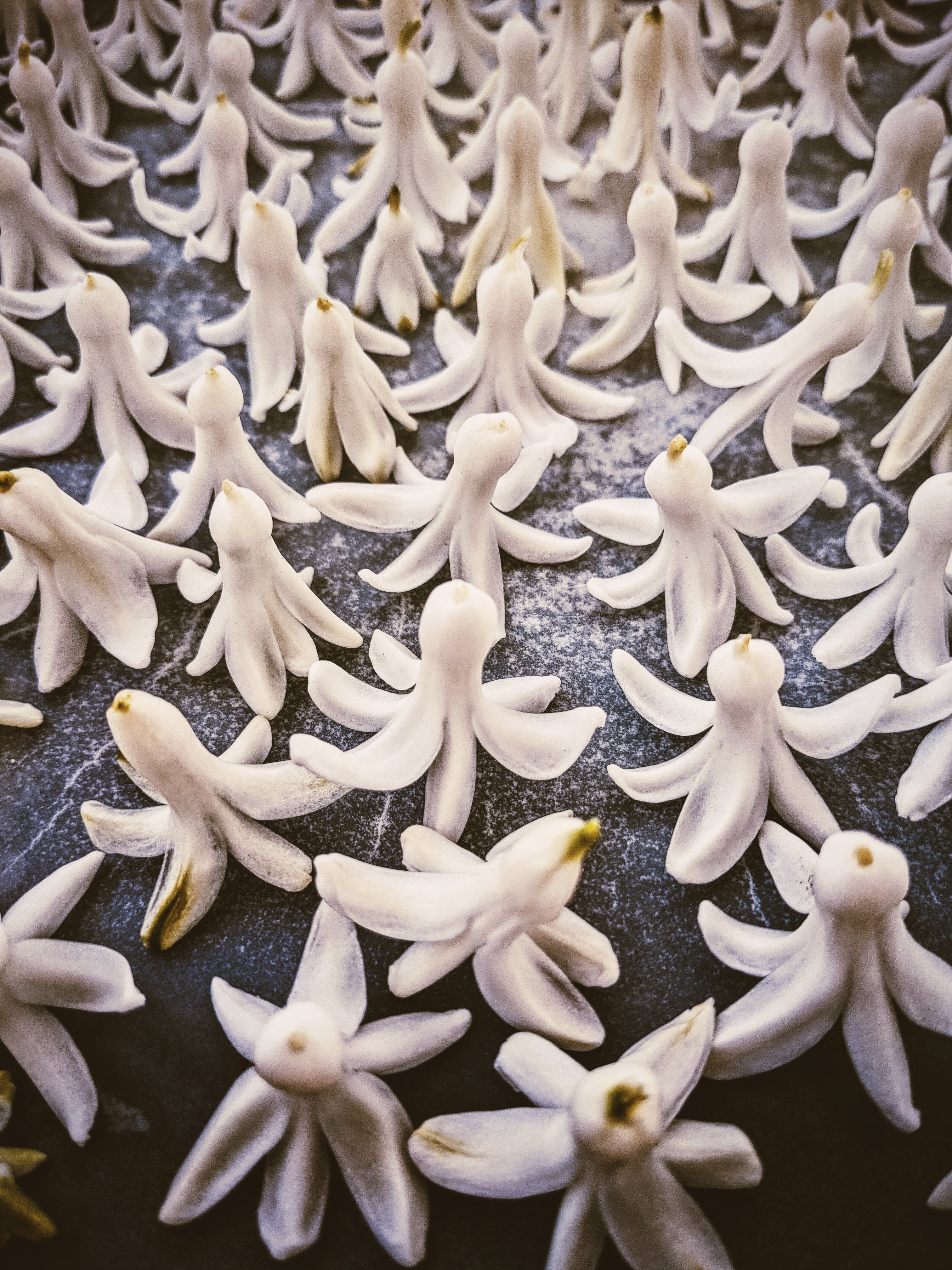 Sonbol (May 2019). Aged Hyacinth Enfleurage Extrait. Organic Hyacinthus orientalis perfume. Biodynamic - Image 4