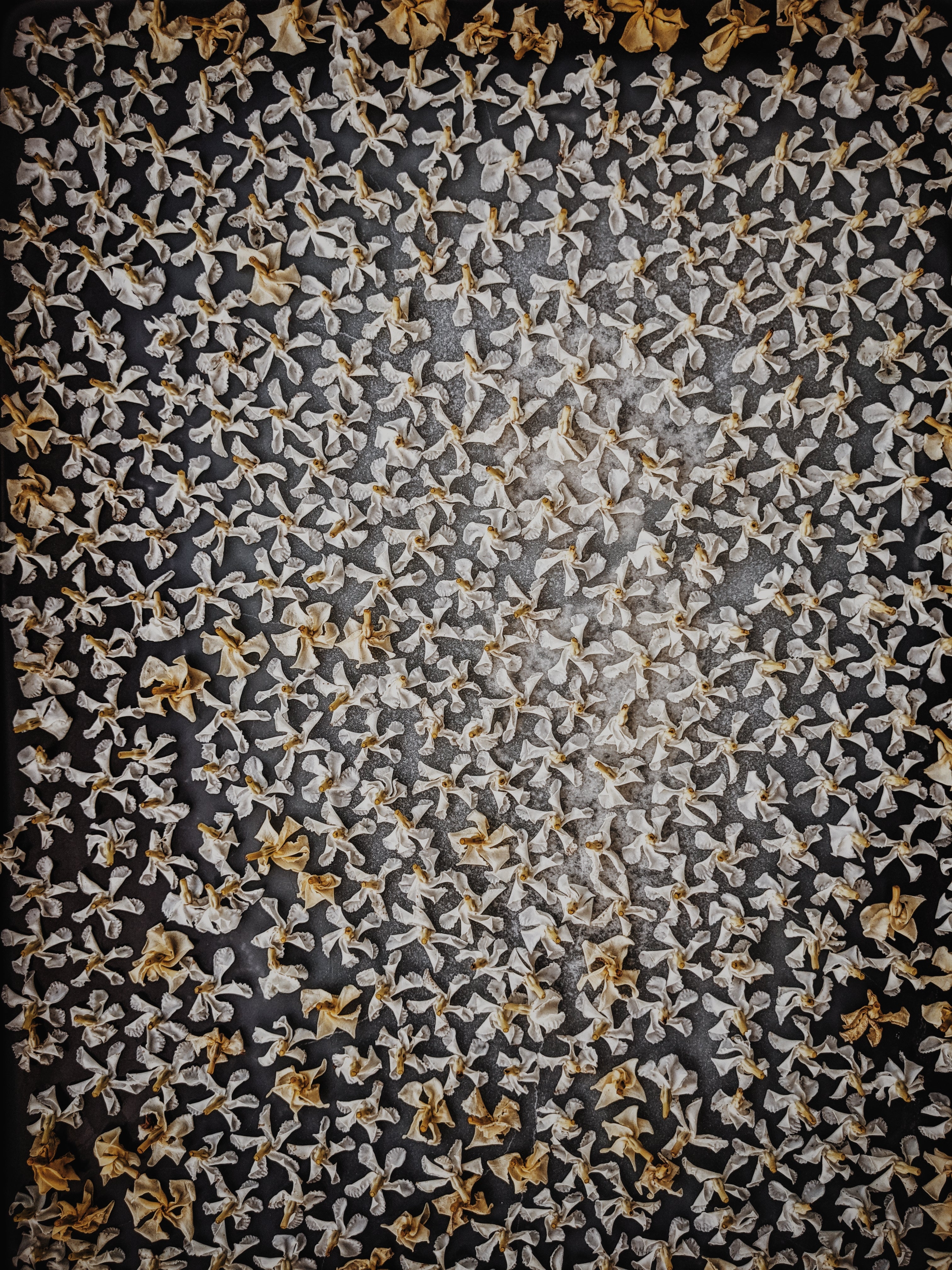 Star Jasmine Enfleurage. - Image 10