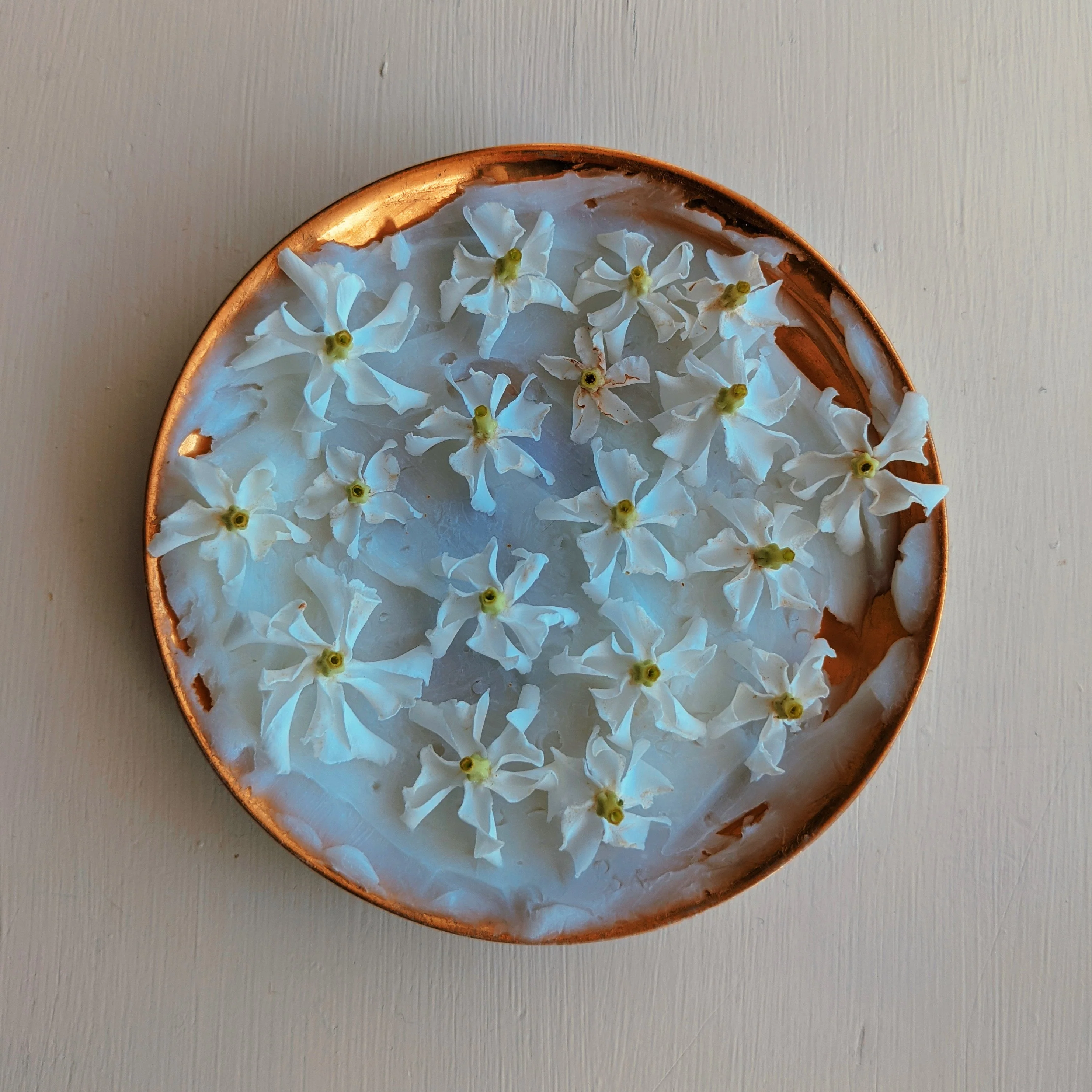 Star Jasmine Enfleurage. - Image 13