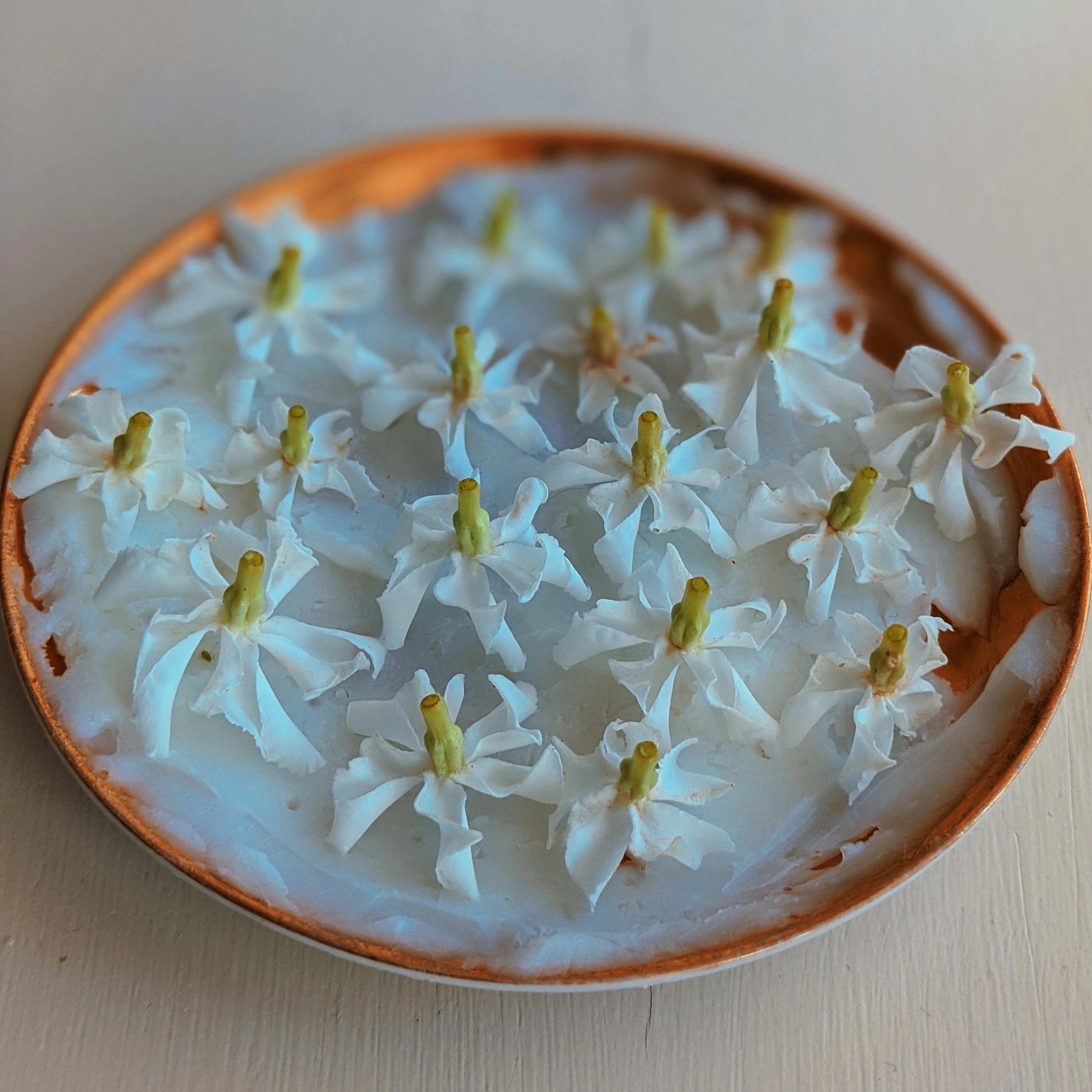 Star Jasmine Enfleurage. - Image 17