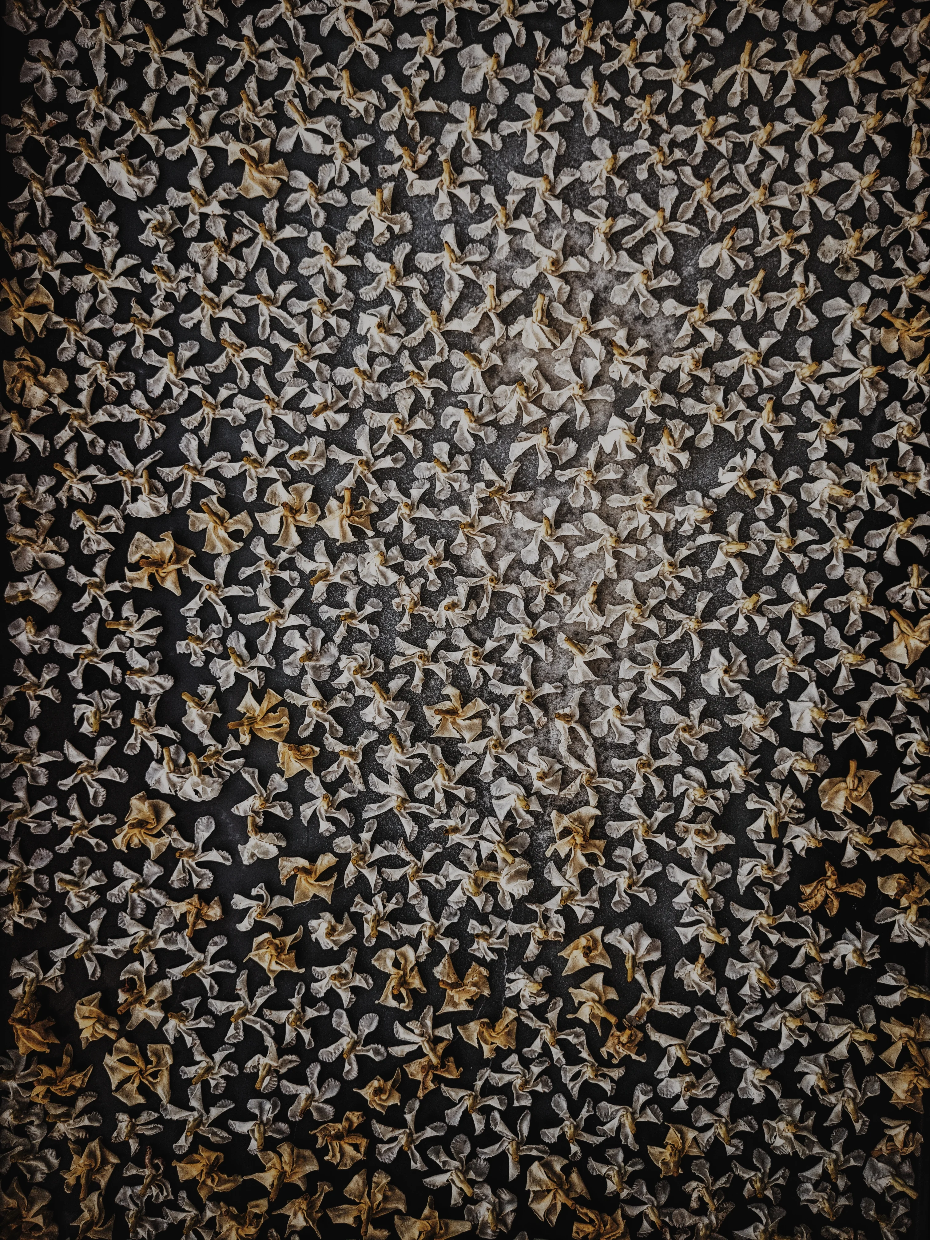 Star Jasmine Enfleurage. - Image 19