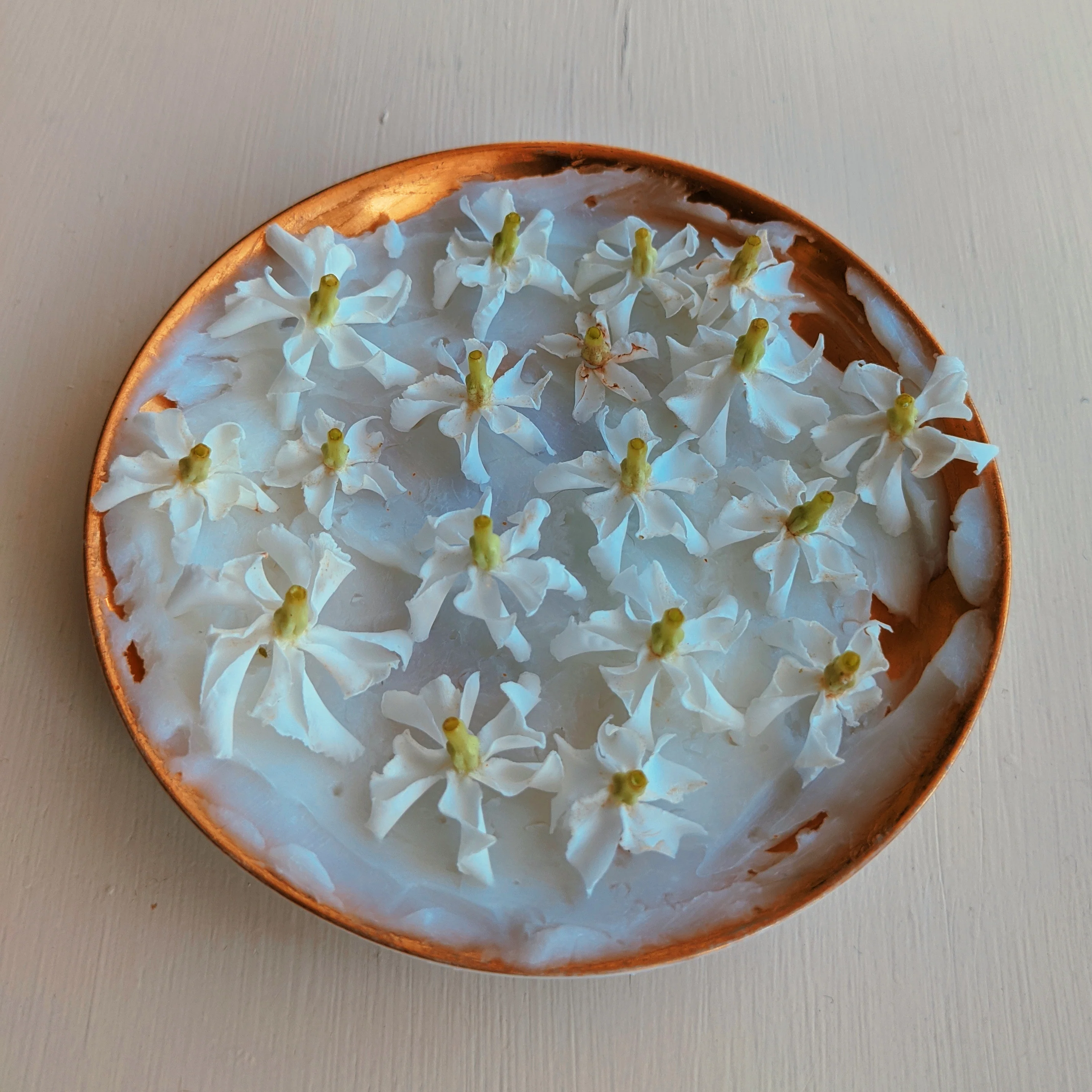 Star Jasmine Enfleurage. - Image 21