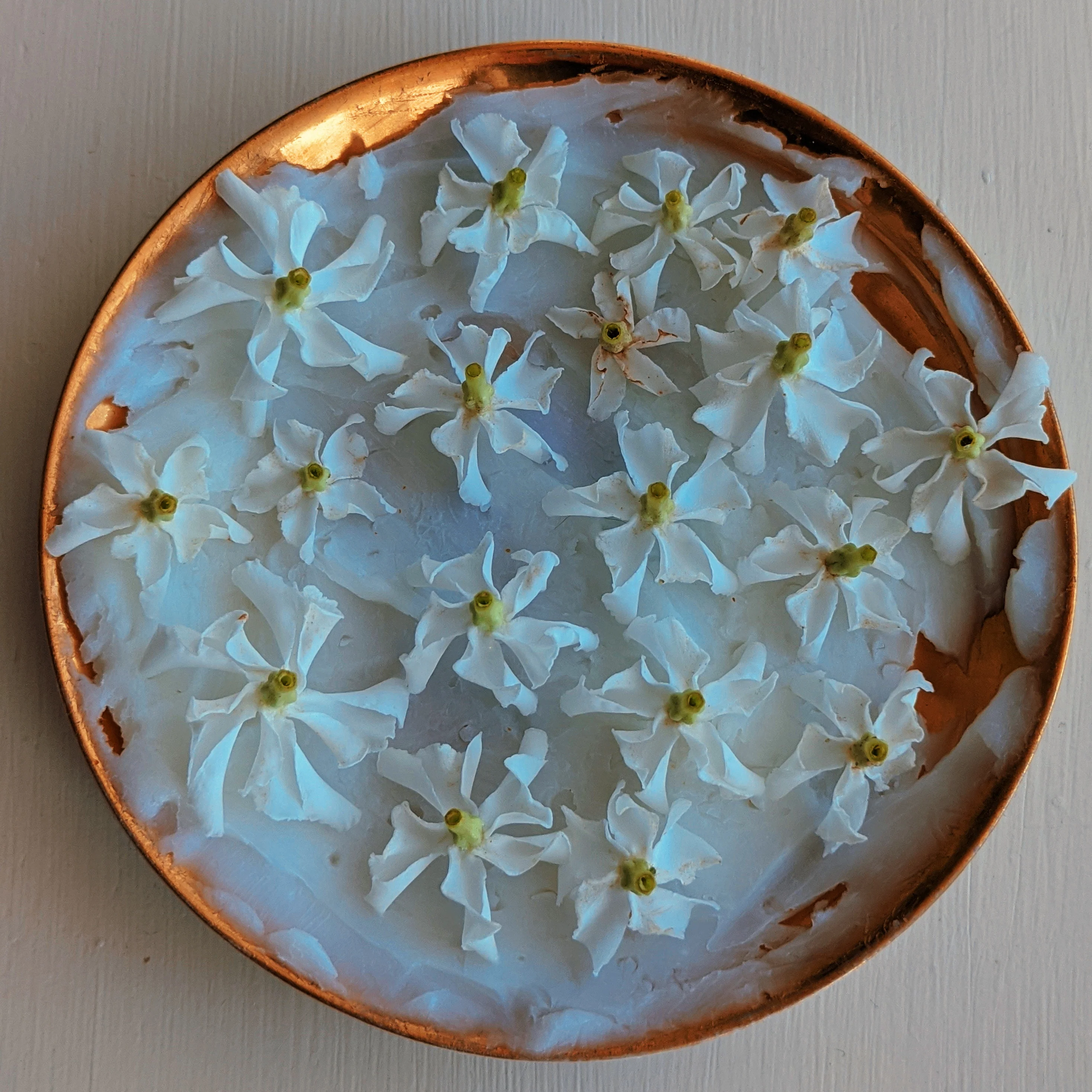 Star Jasmine Enfleurage. - Image 23