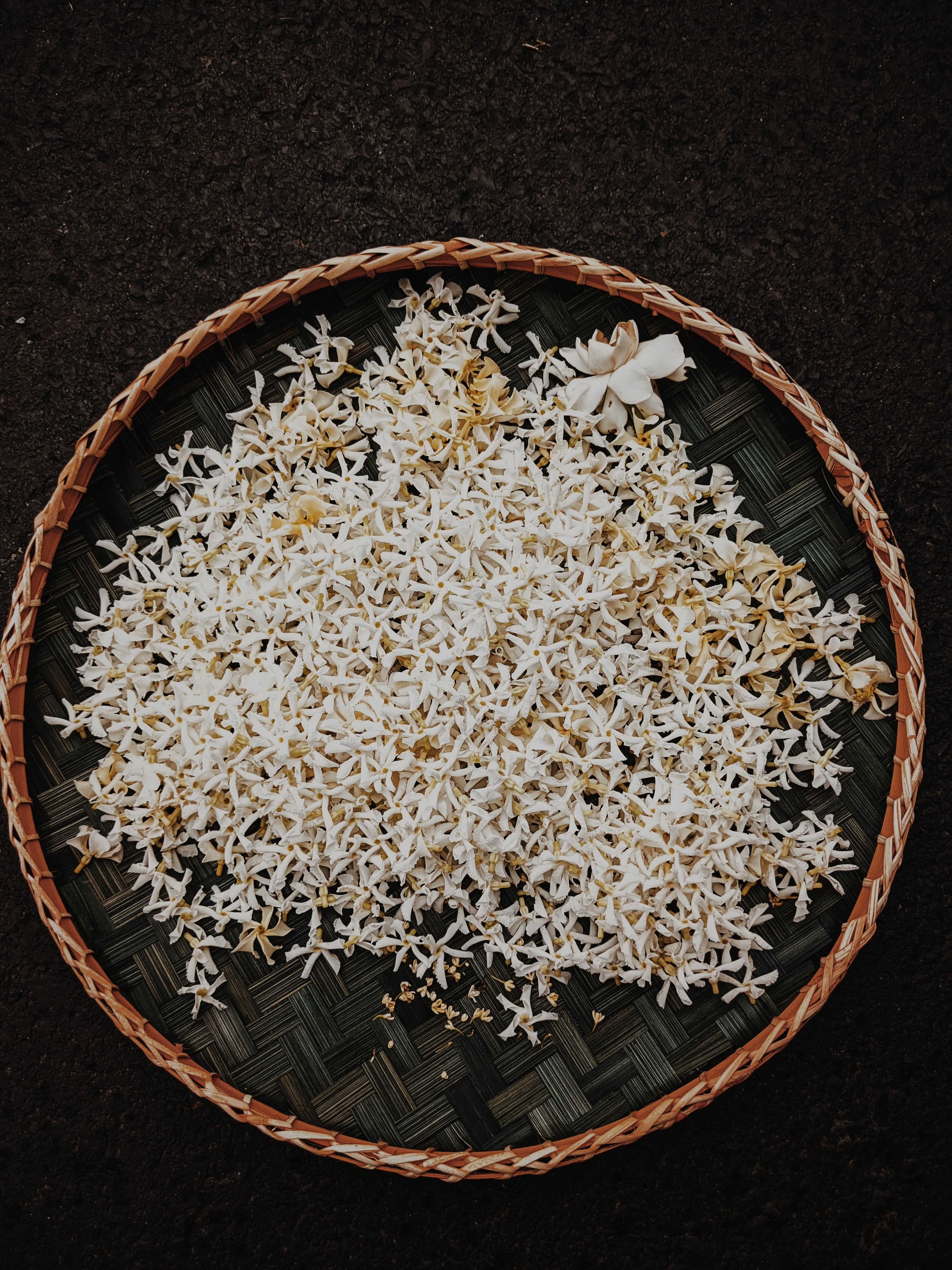 Star Jasmine Enfleurage. - Image 4