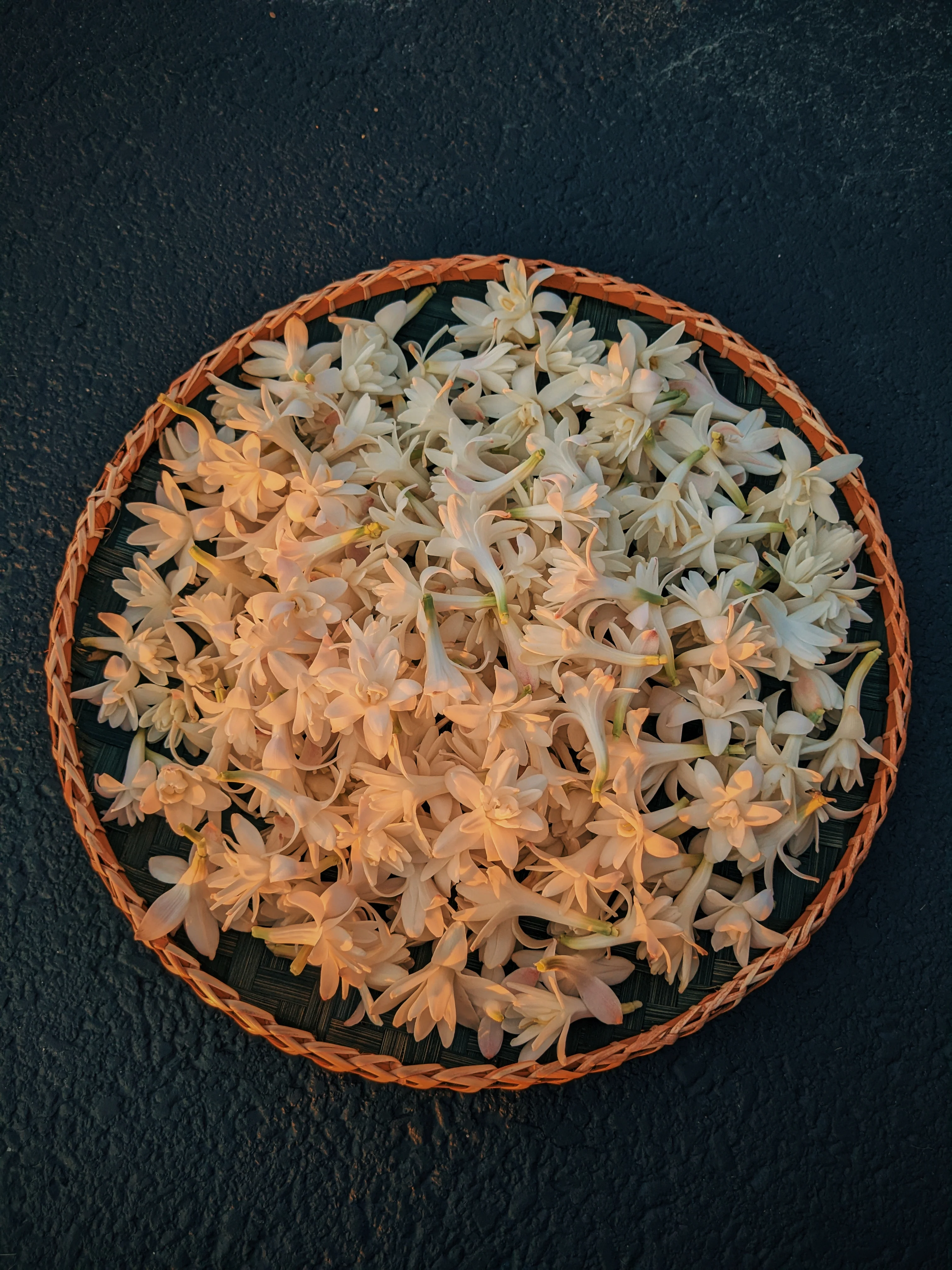 Tuberose Enfleurage. - Image 9